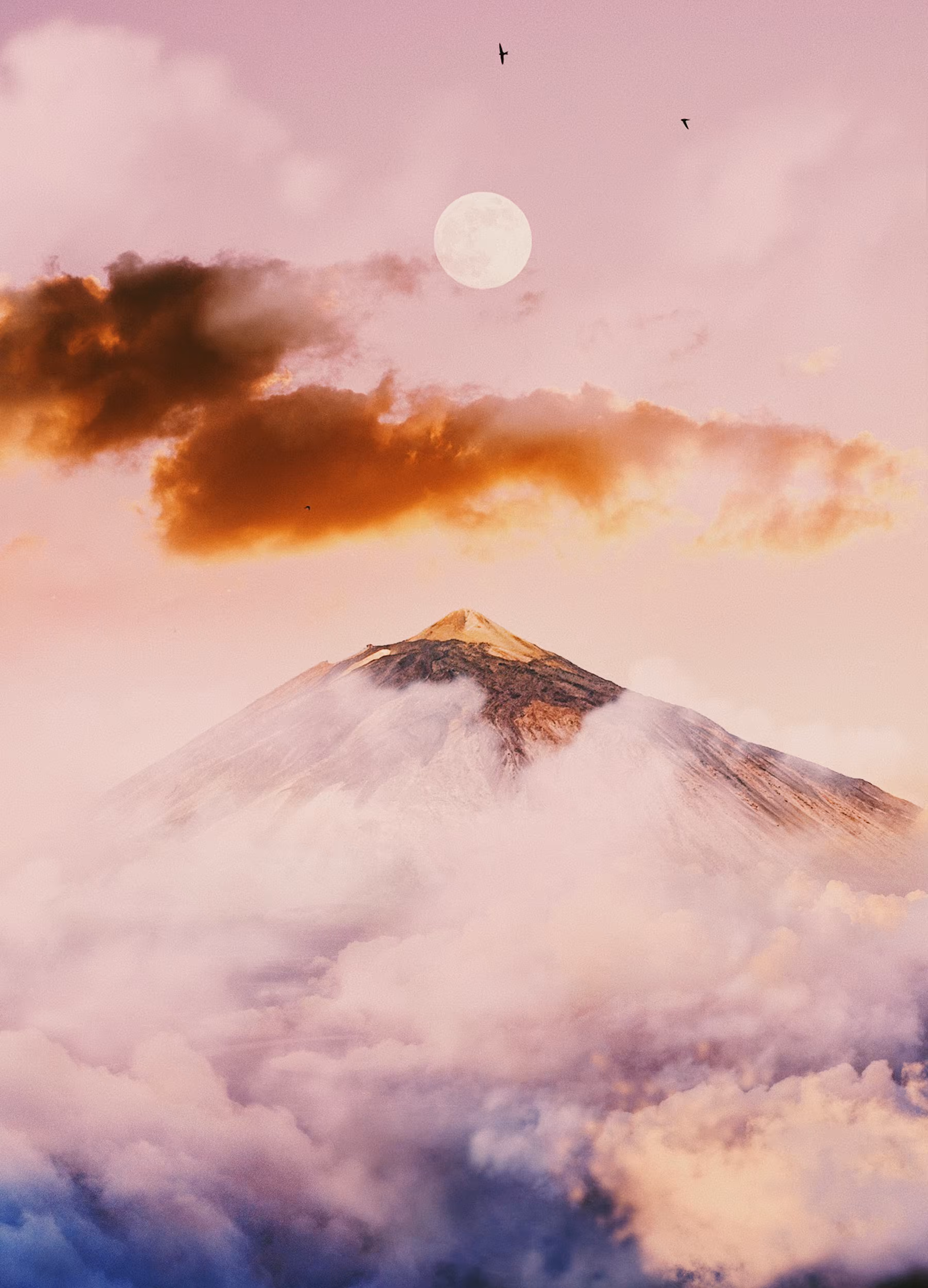 Dreamworld