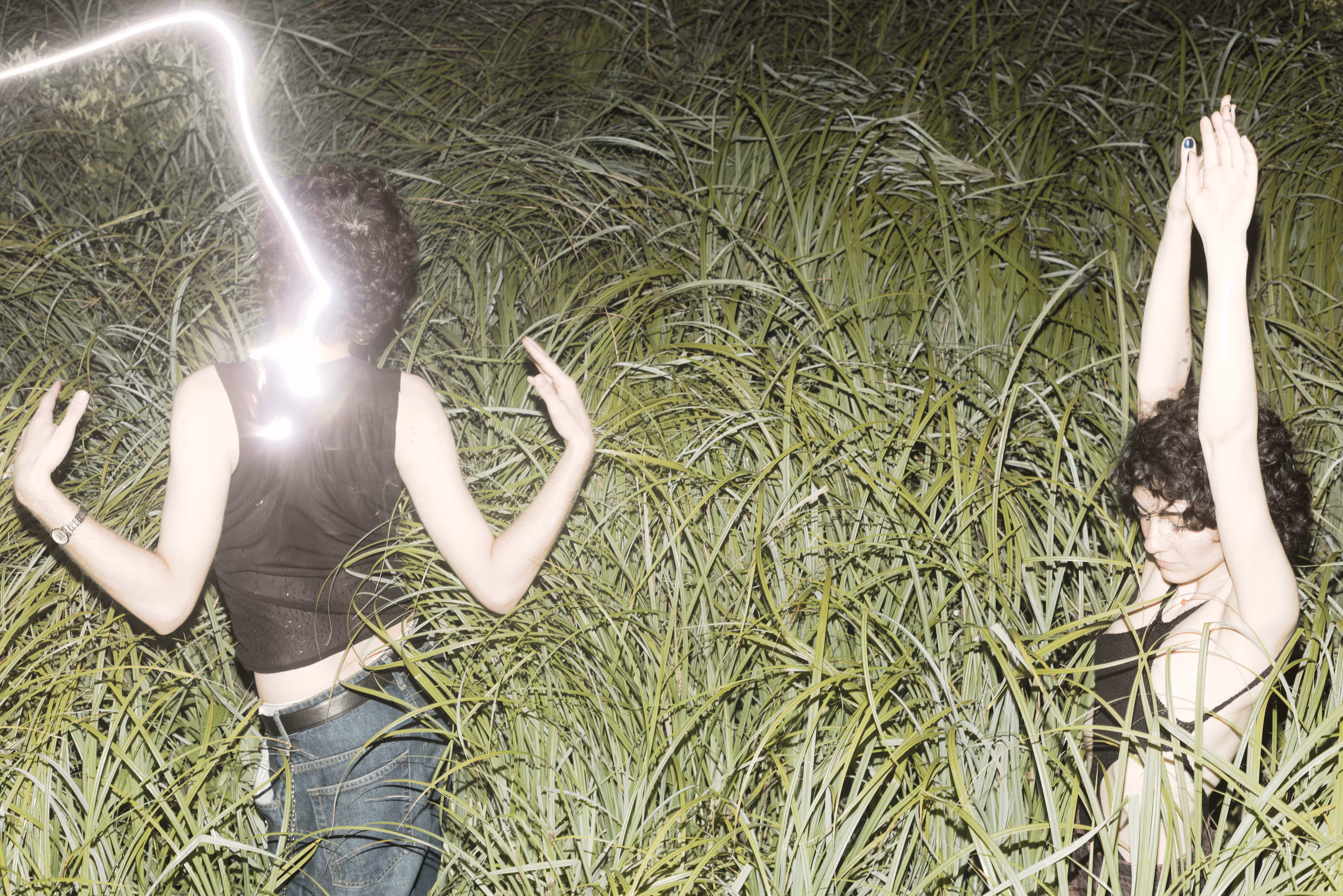 Dancers in the tall grass