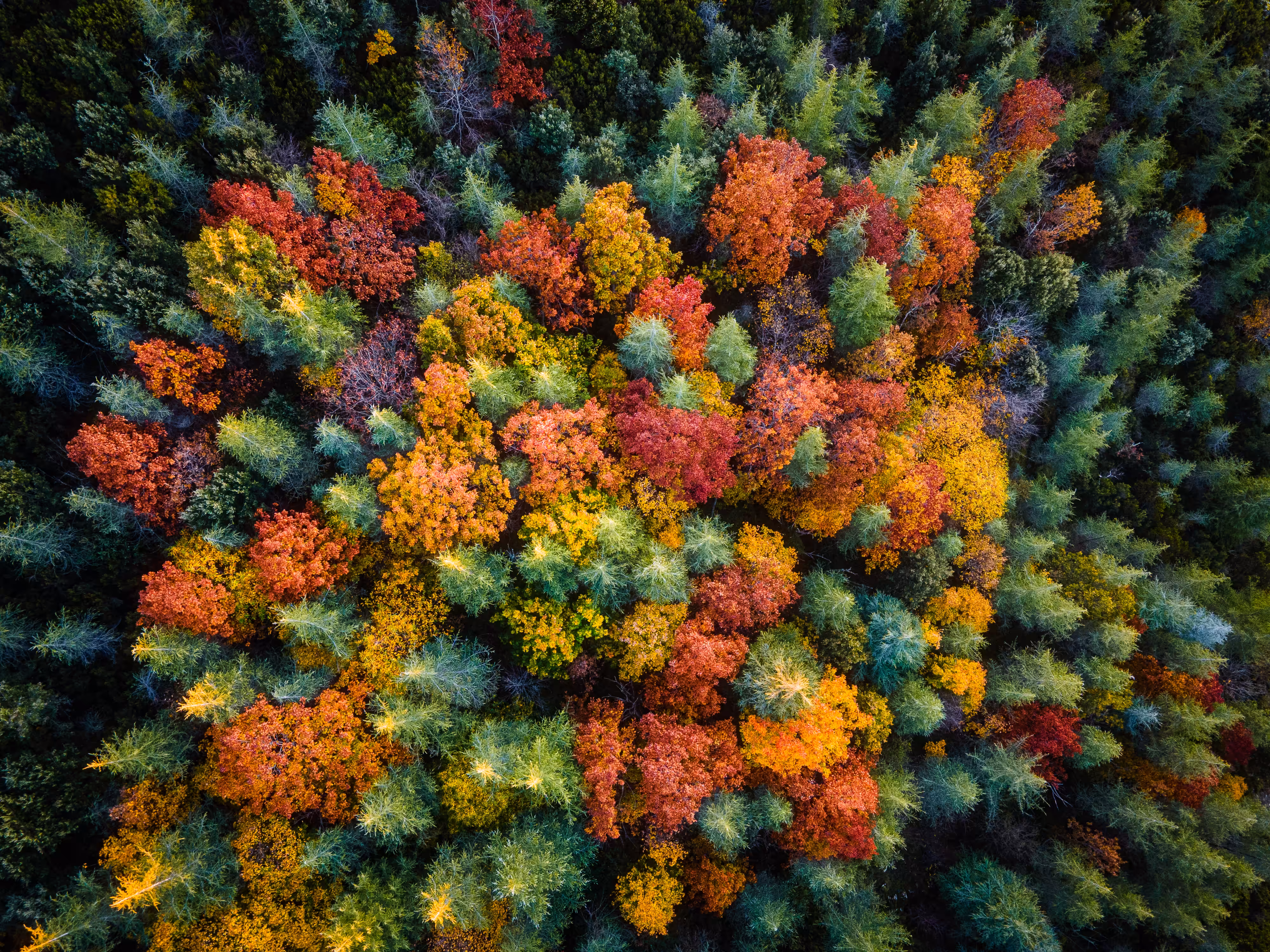 Colors of Sardinia #4