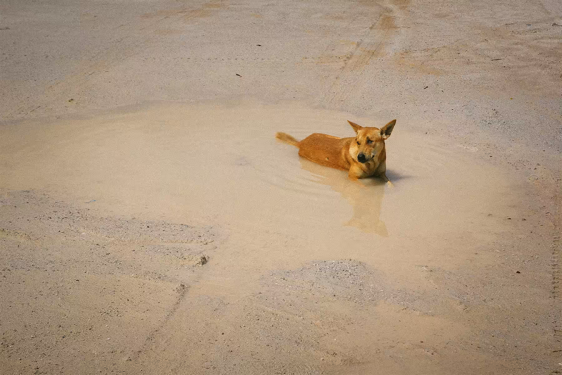Bathing under the sun