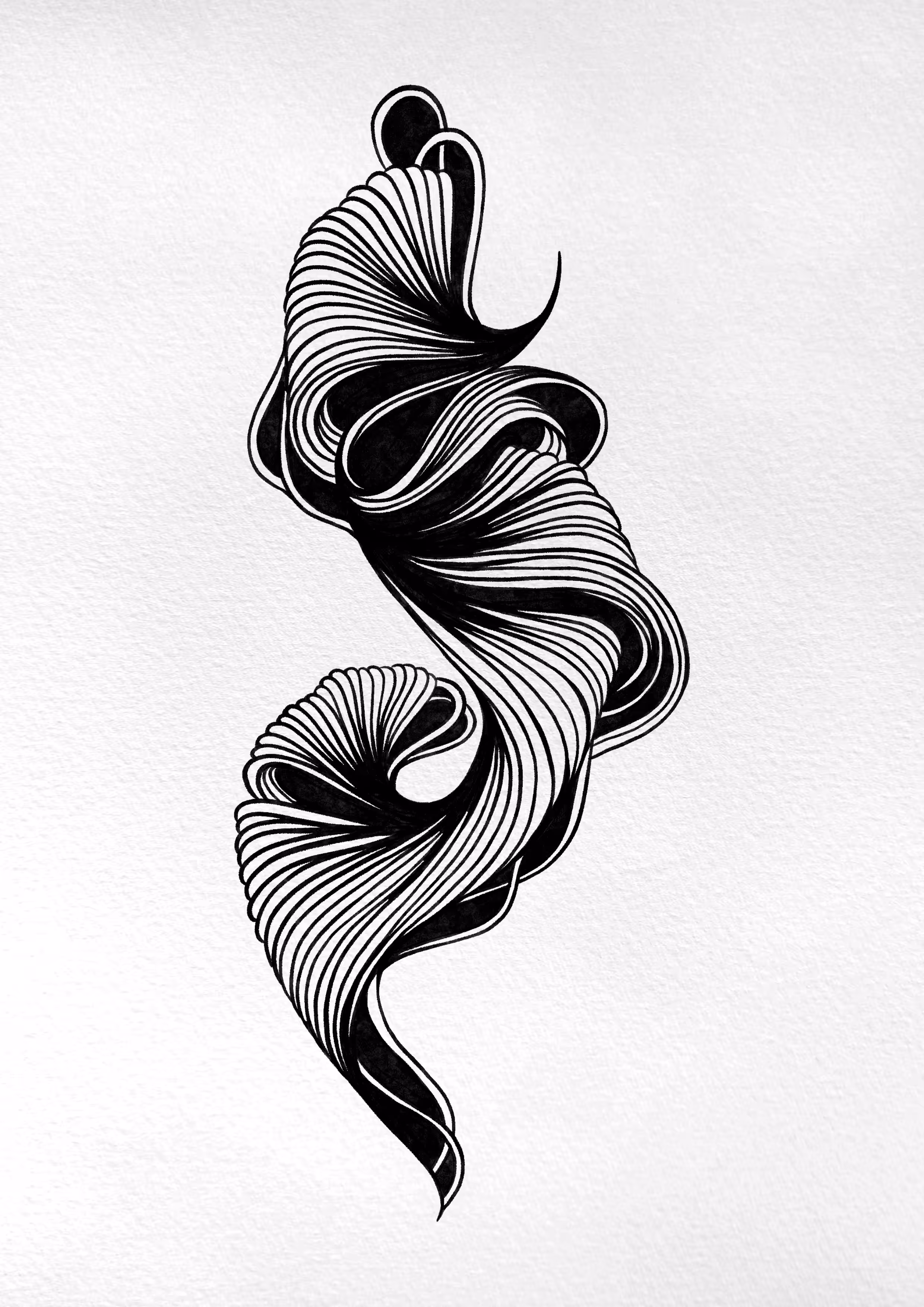 seahorse