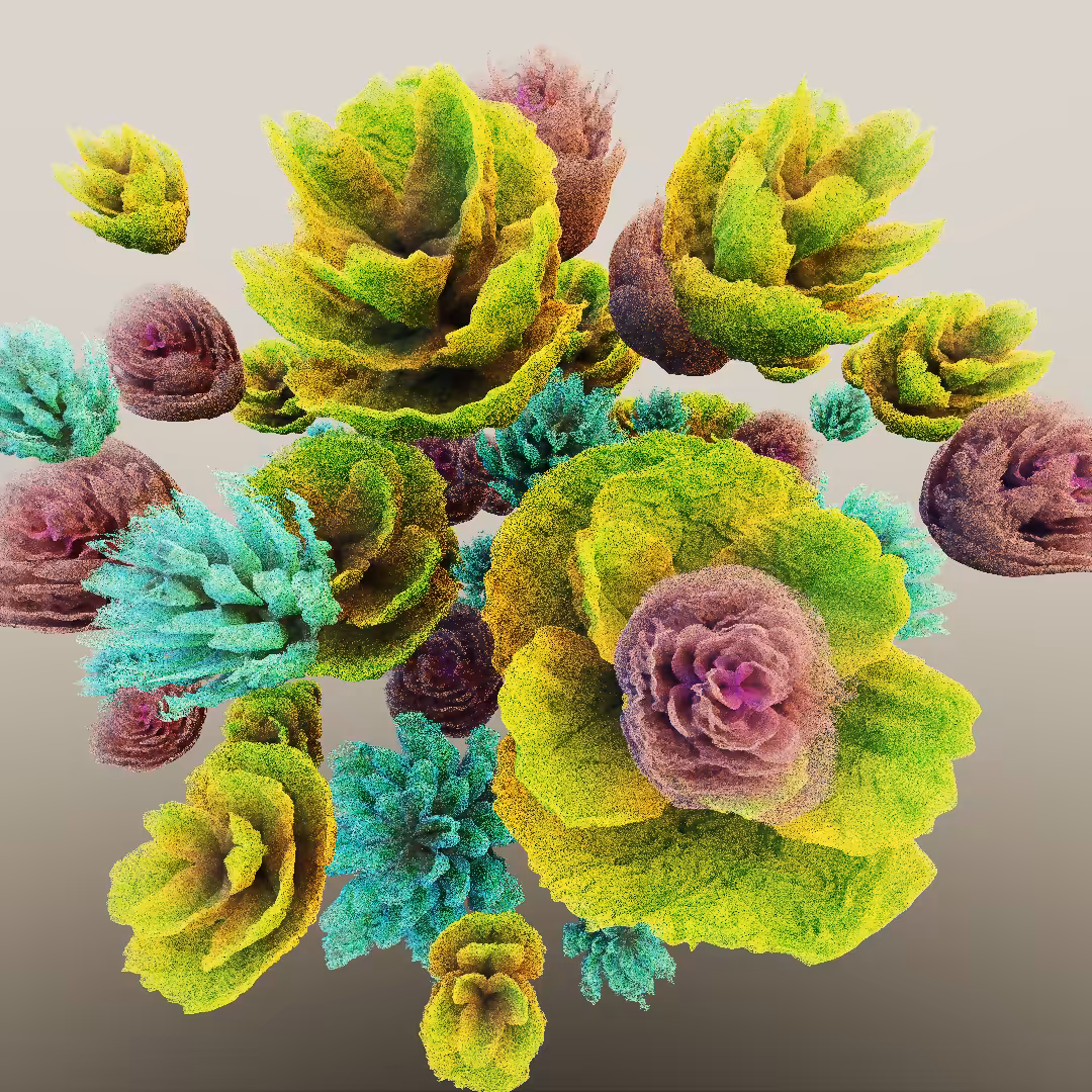 rosarium #197