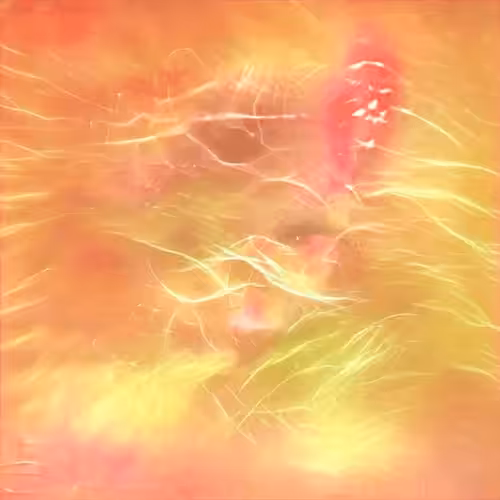 Perfect Abstract Art Polygon: The flash Knows how to move 