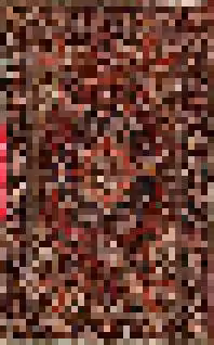 Rug #13