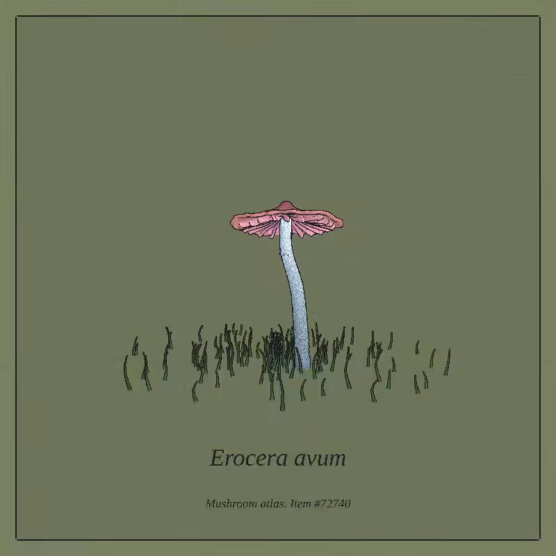 Mushroom Atlas #61