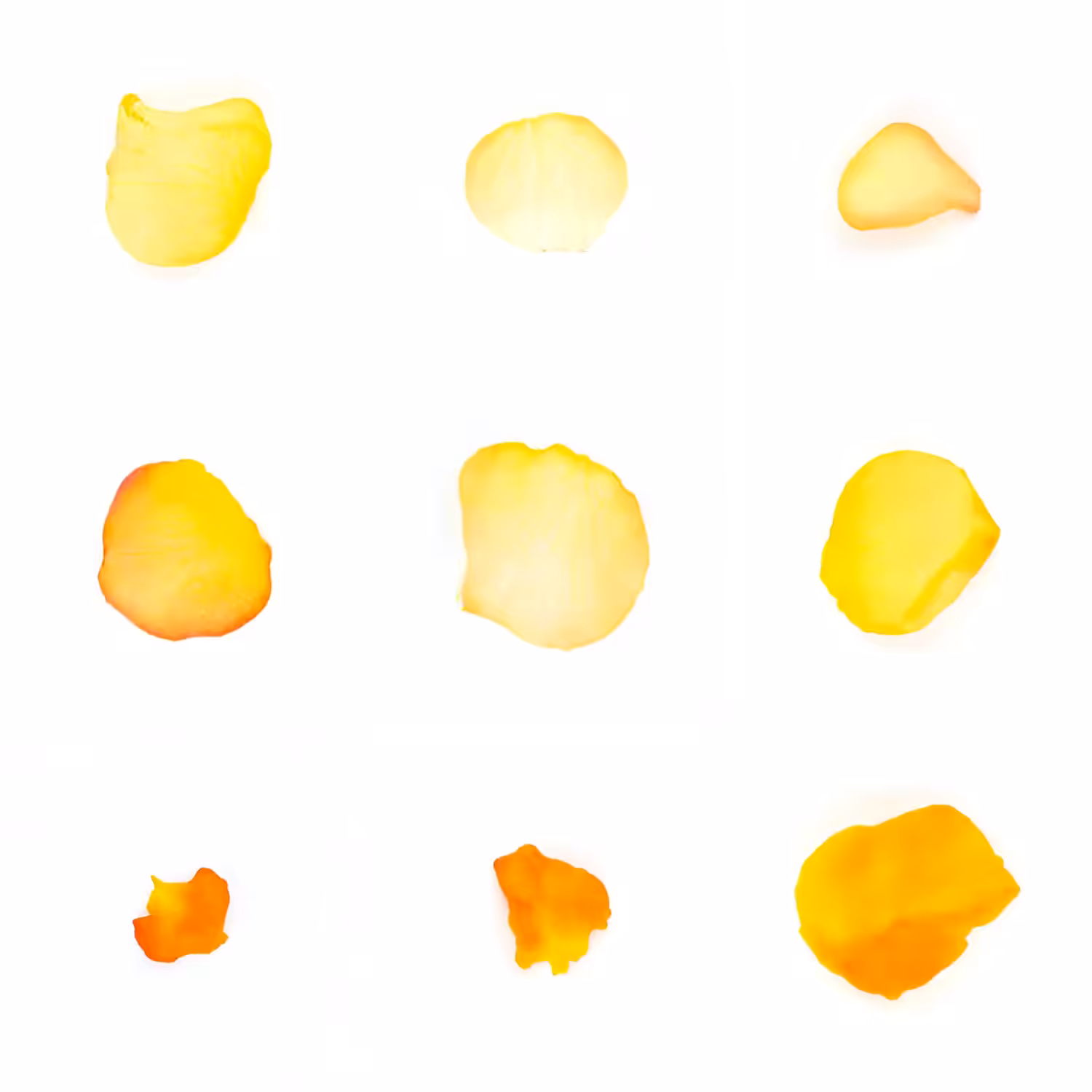 Infinite Petals 3x3#3840