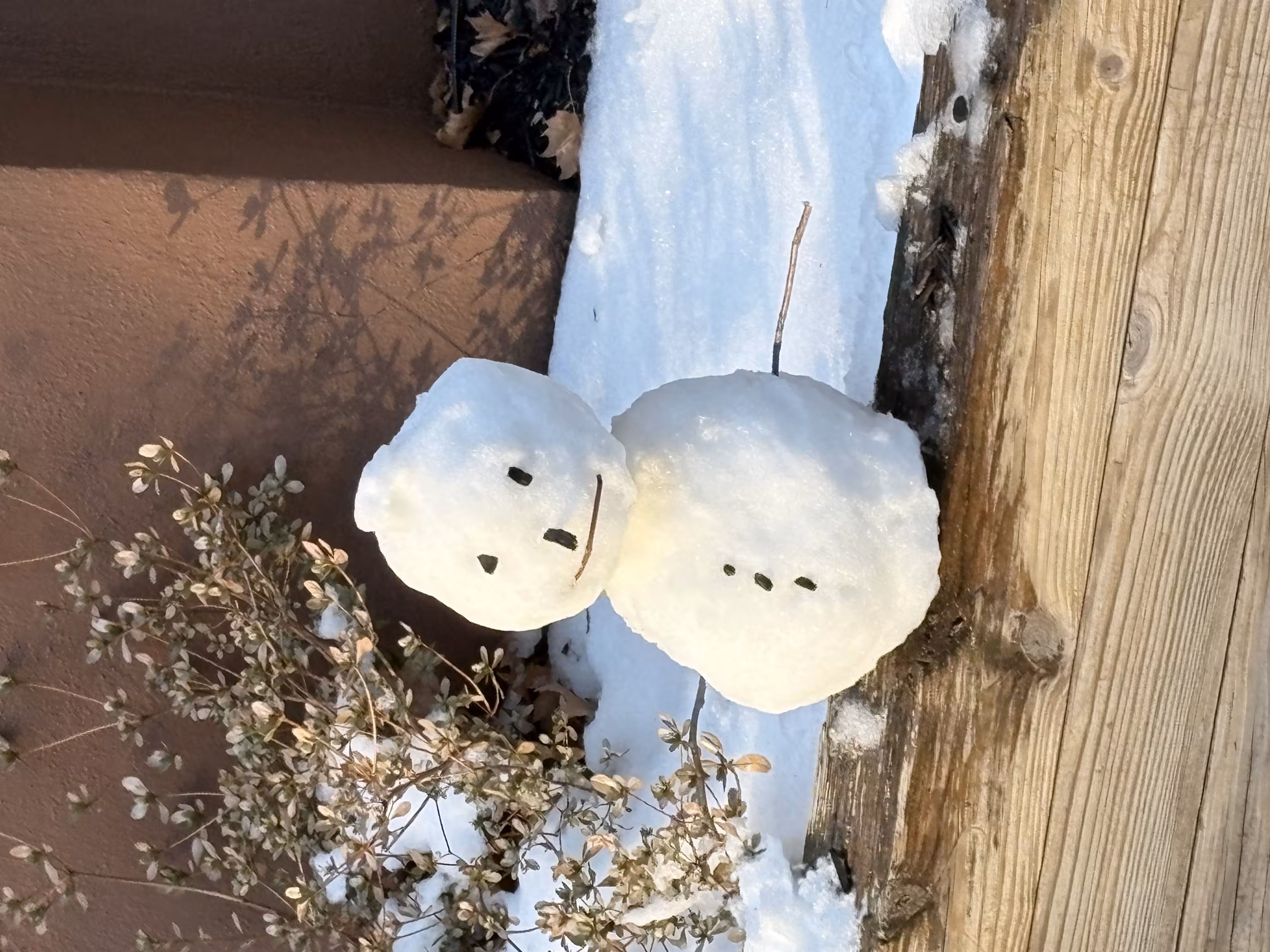 ⛄️