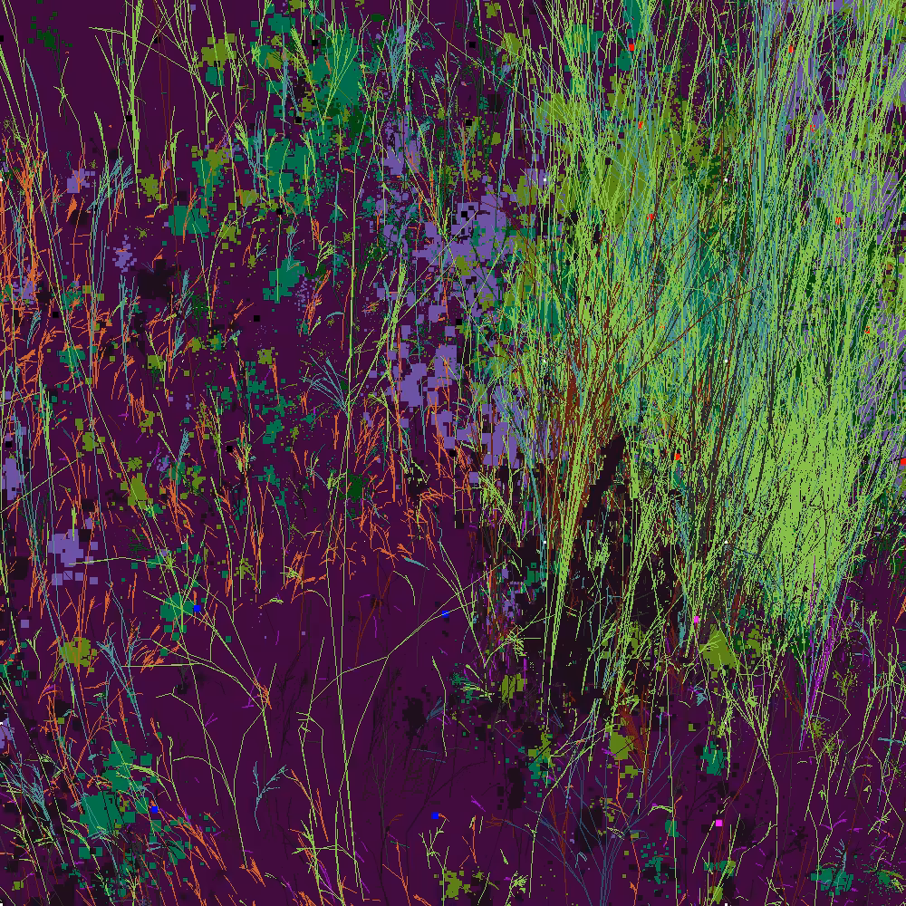 Infinite Garden: 33743 Flowers