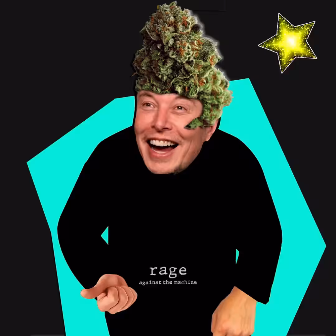 HASHMUSK #140
