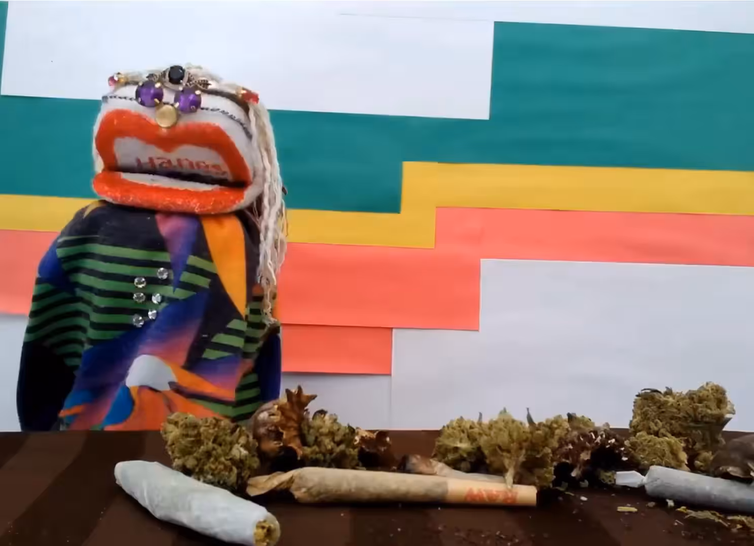Episode 1 "Magic Mushrooms"