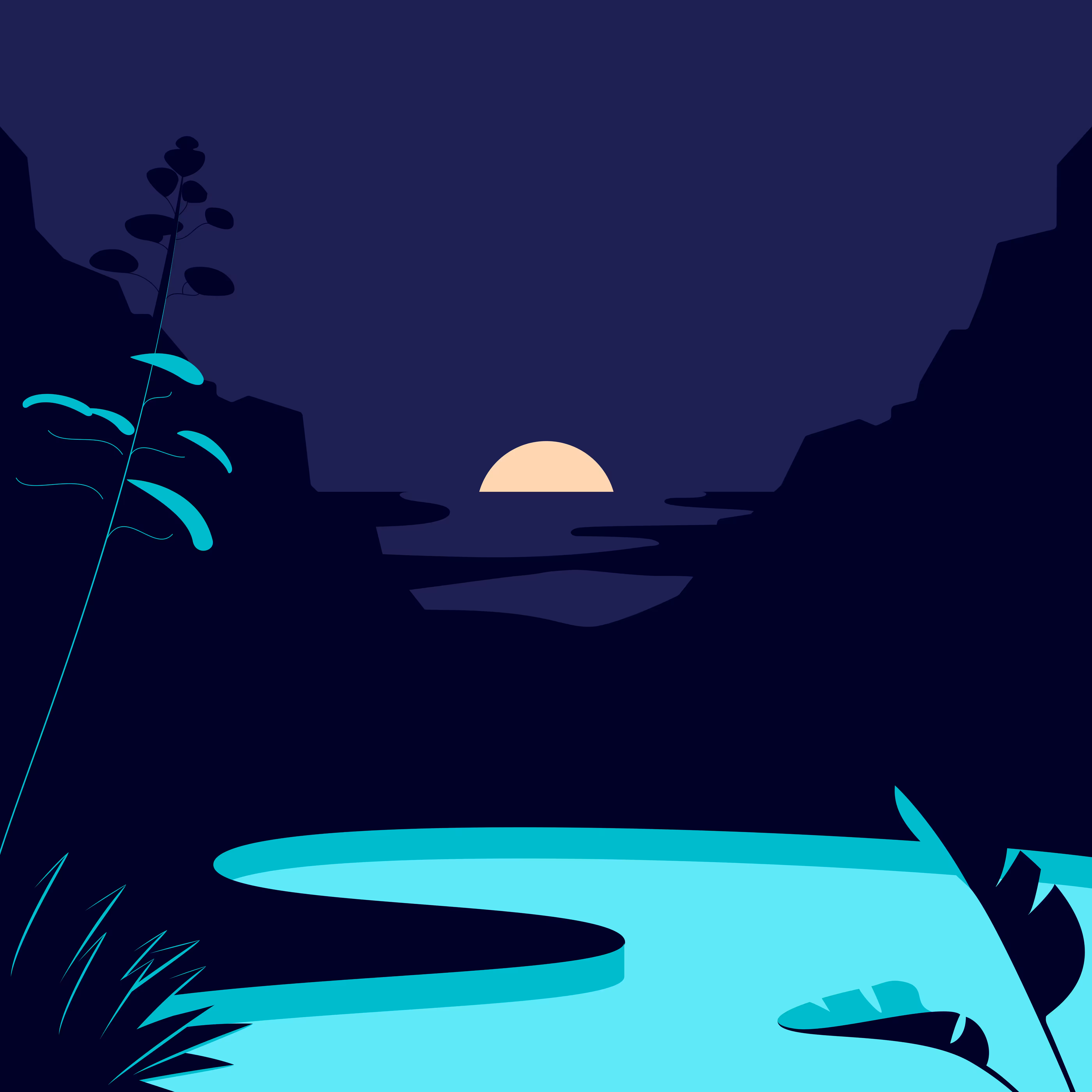 Oasis