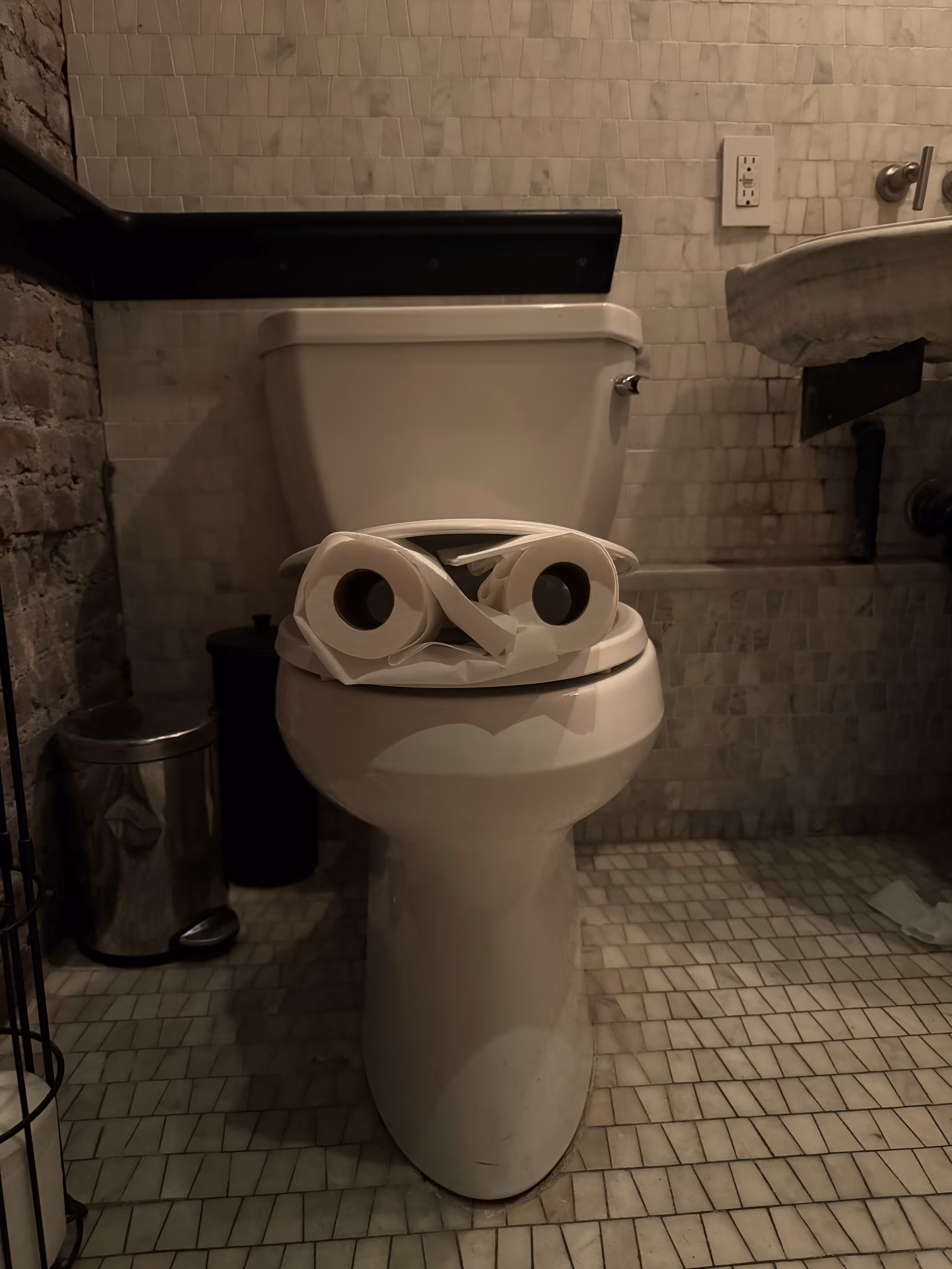 Pepe Toilets NYC #26