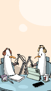 Reels Size: Streamer Seagulls