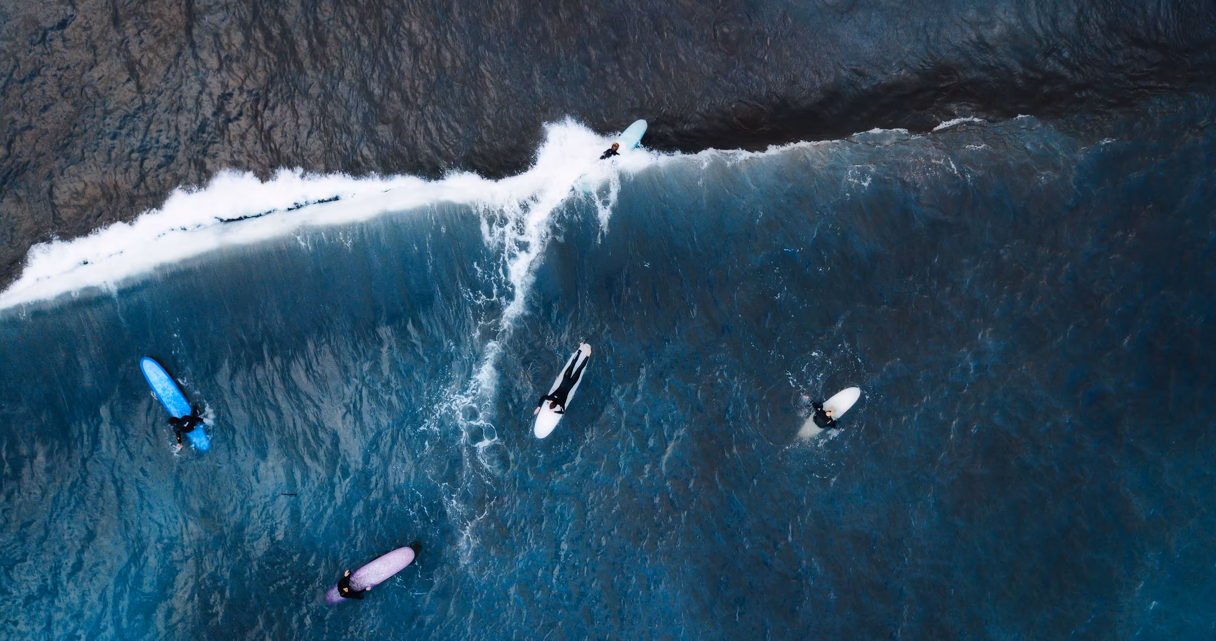 WAVE