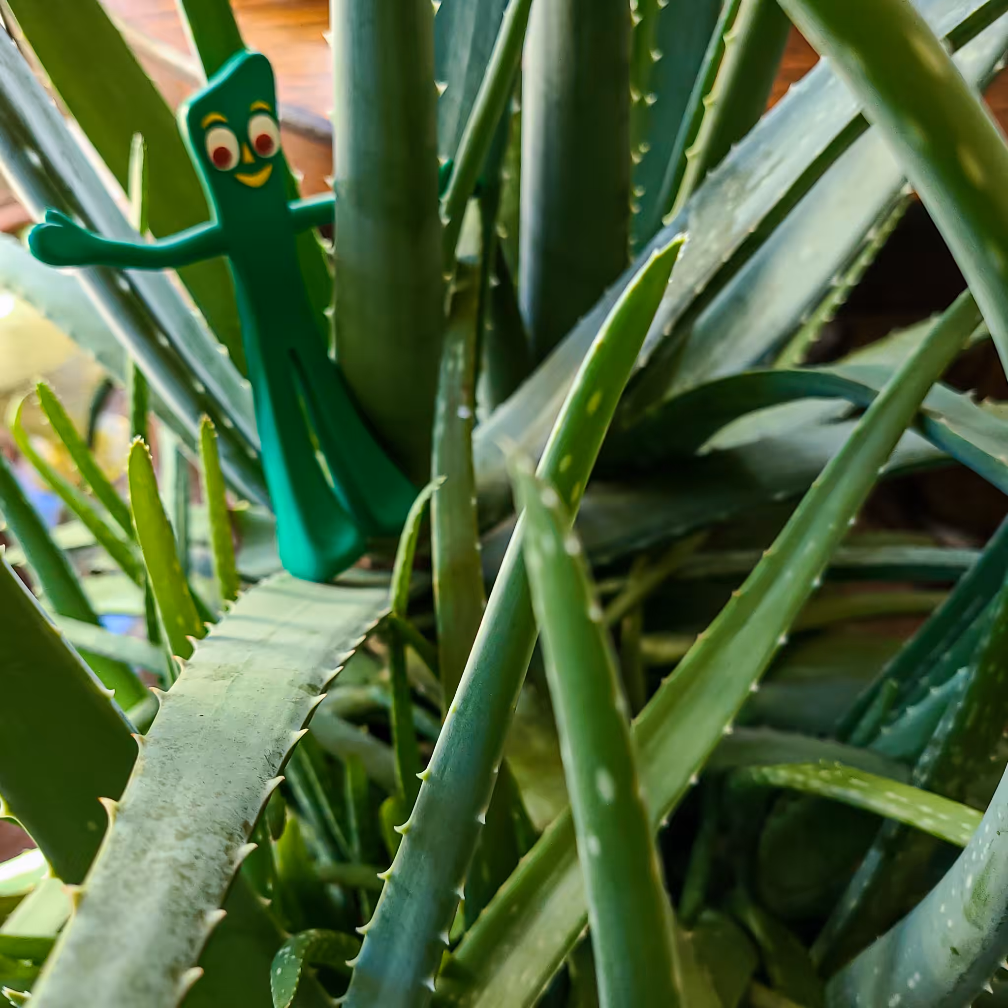 Gumby Goes Green