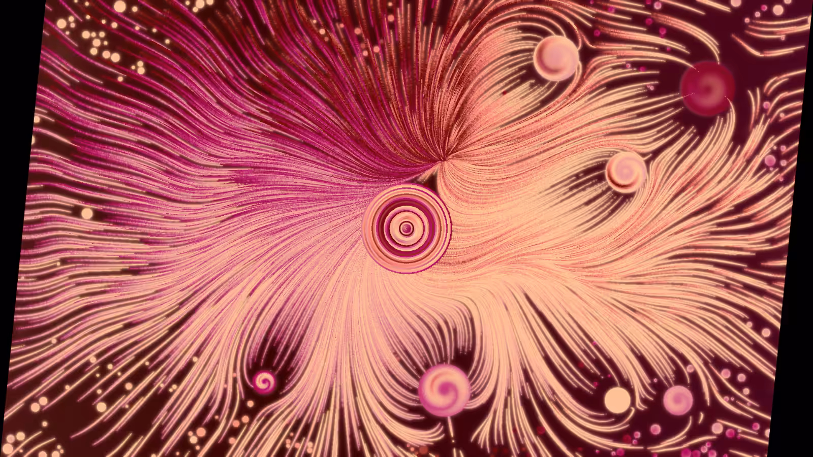 Slices #31000560