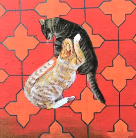 Cats fighting