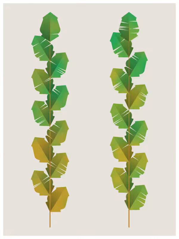 Leaves #8