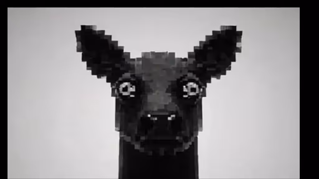 Black deer 