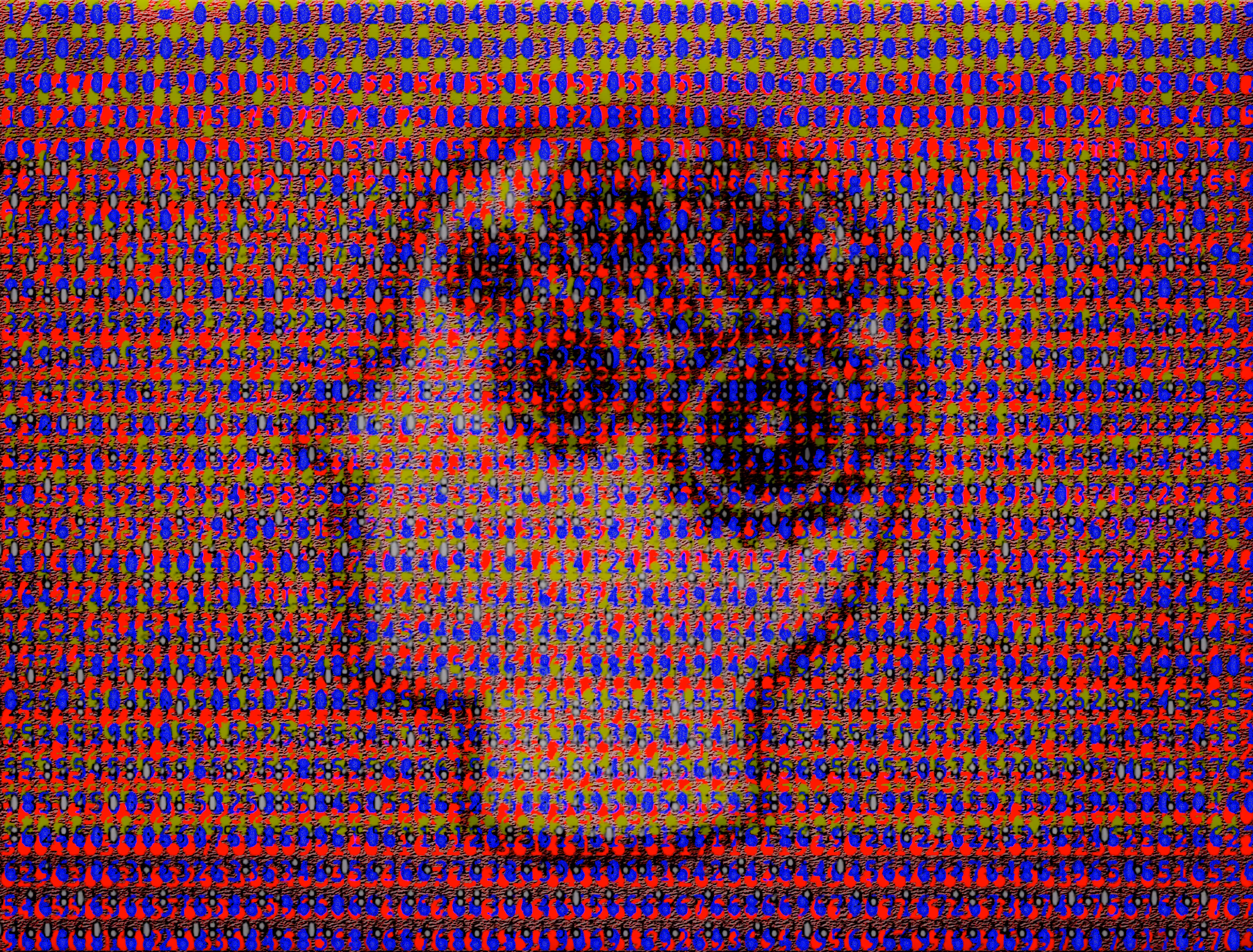 Numbers in the Brain