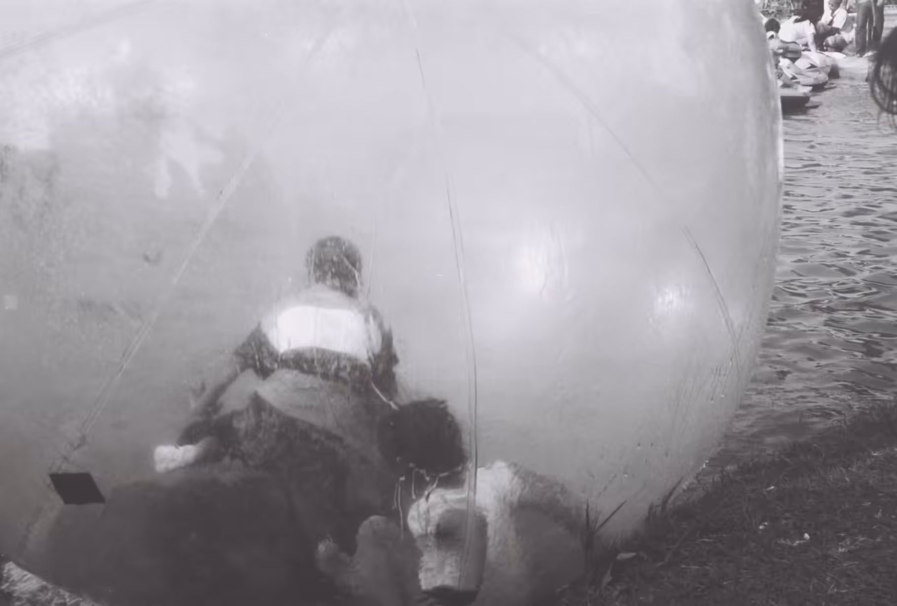 Inside a Bubble