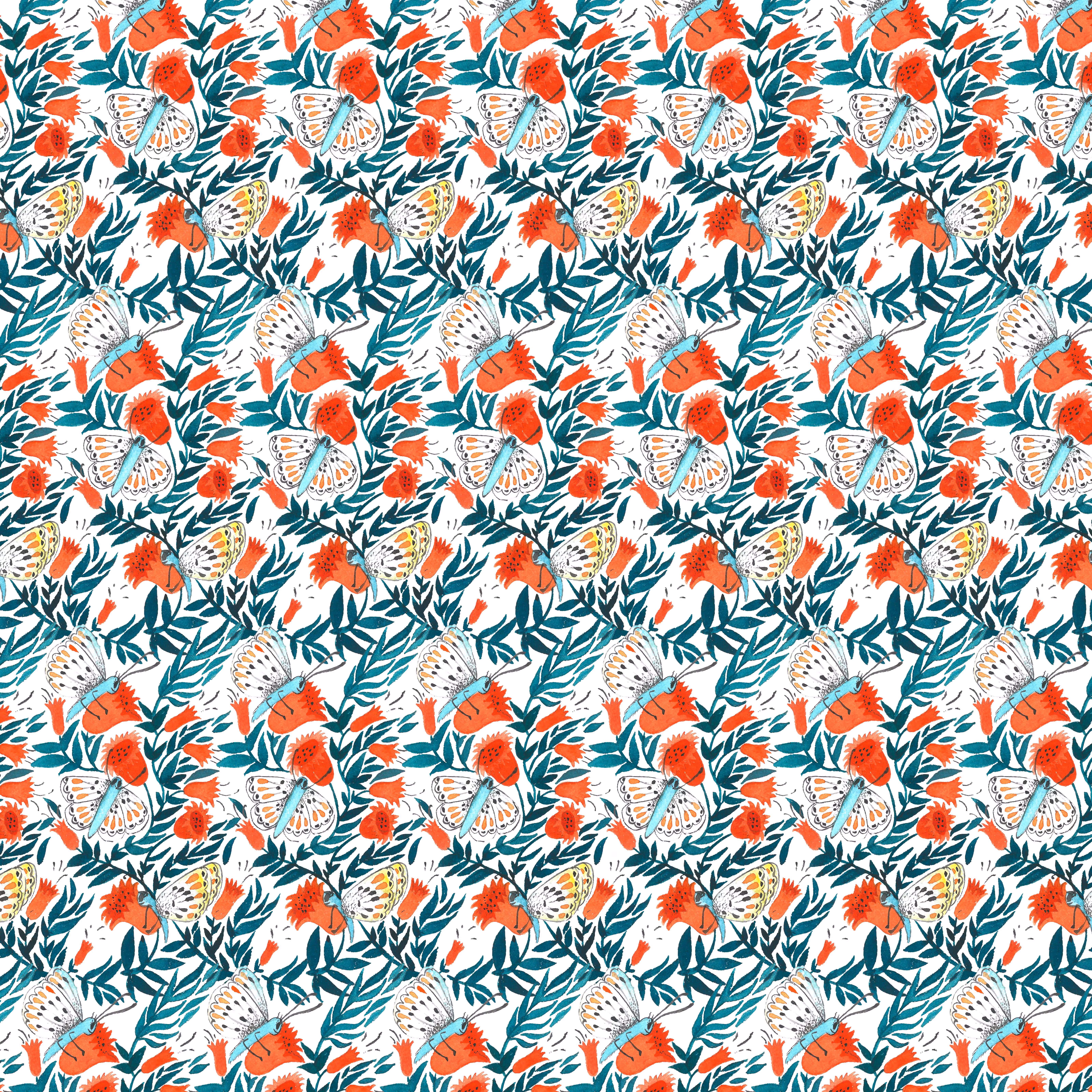 butterflies 1