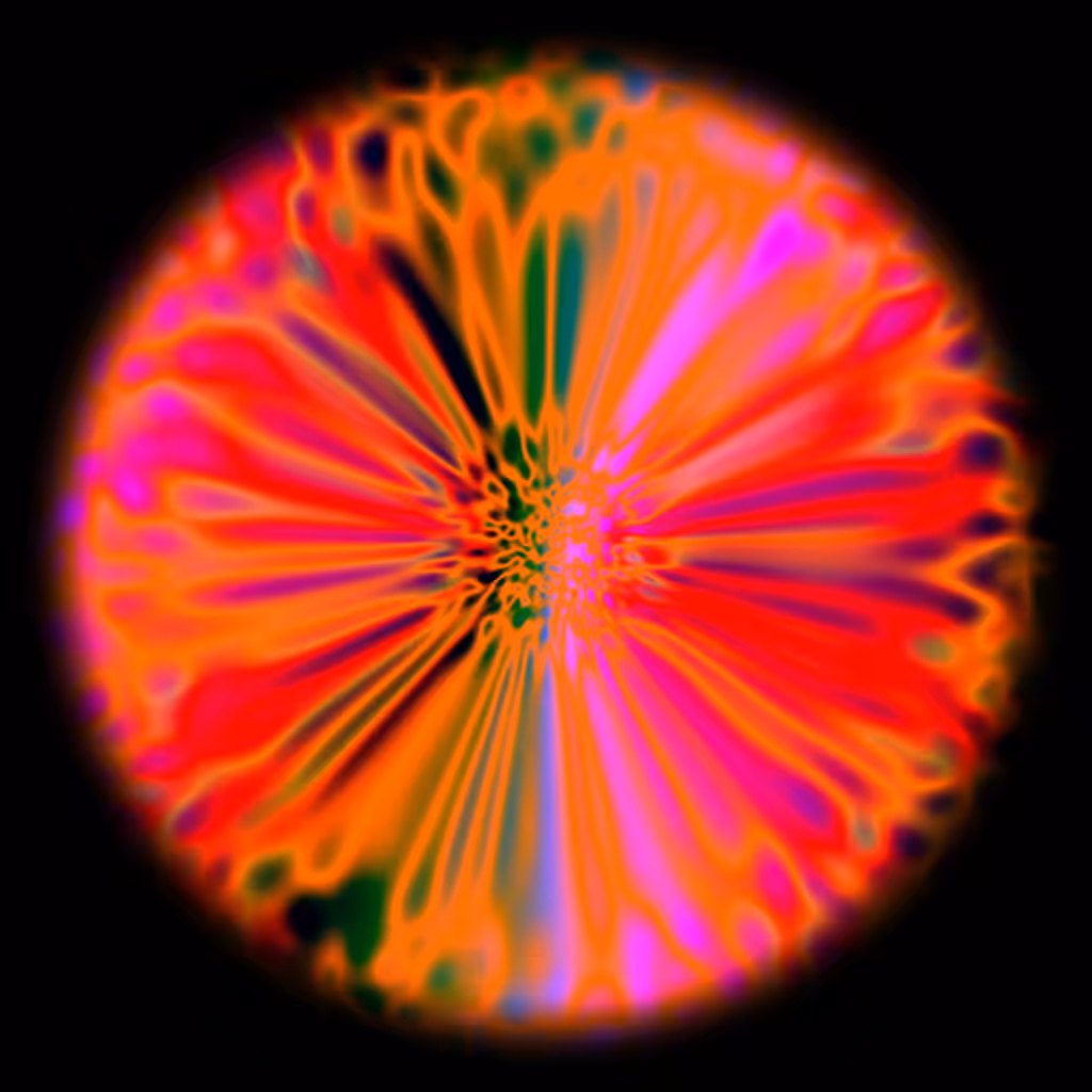 ORBITAL #8