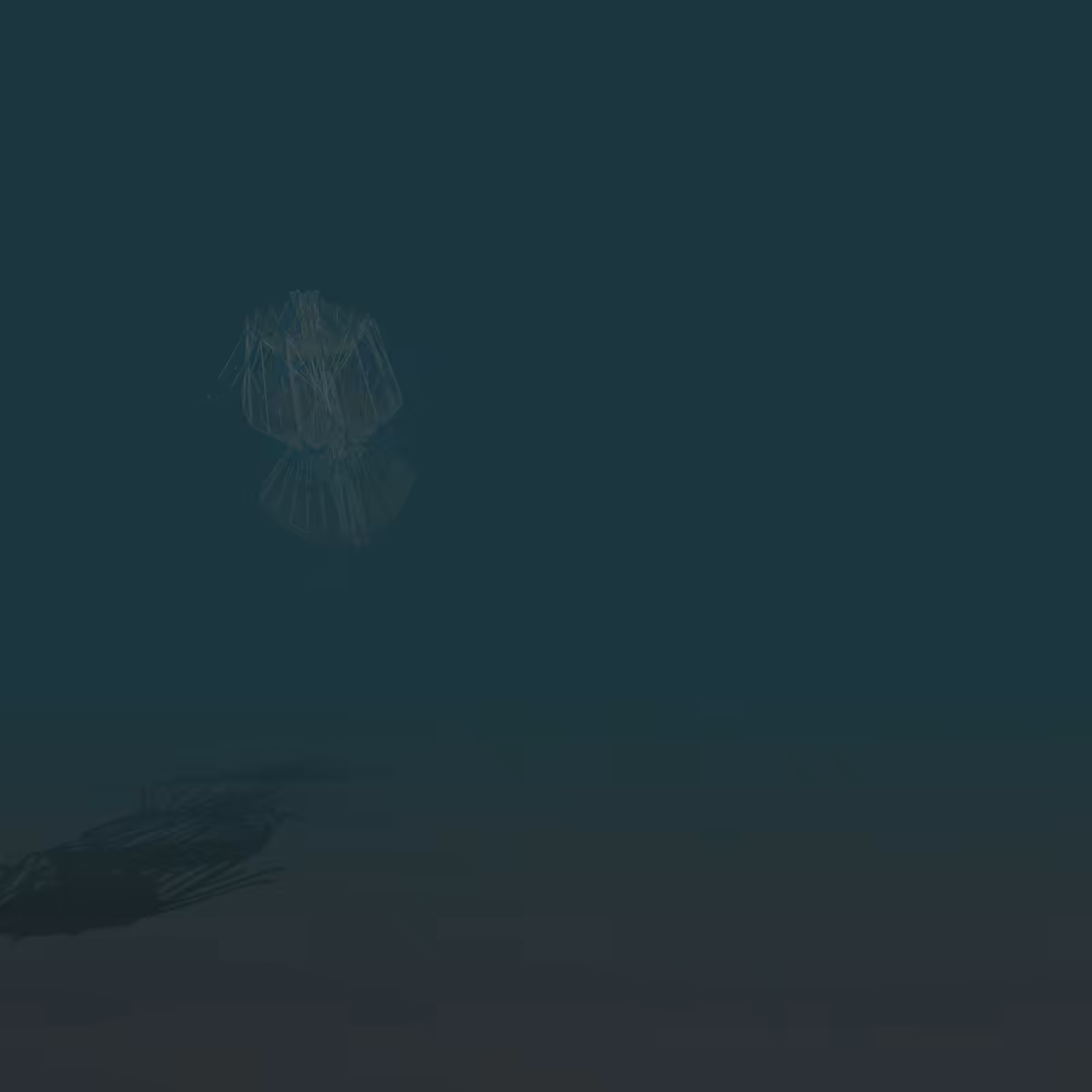 ProtoByte: Scyphozoa.01 #211