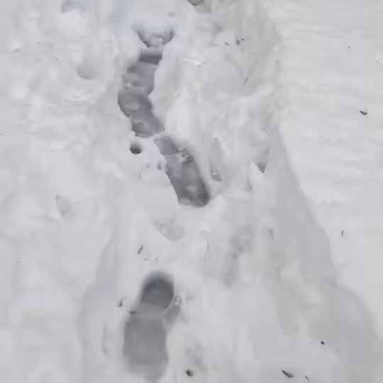 Northern Drip #2