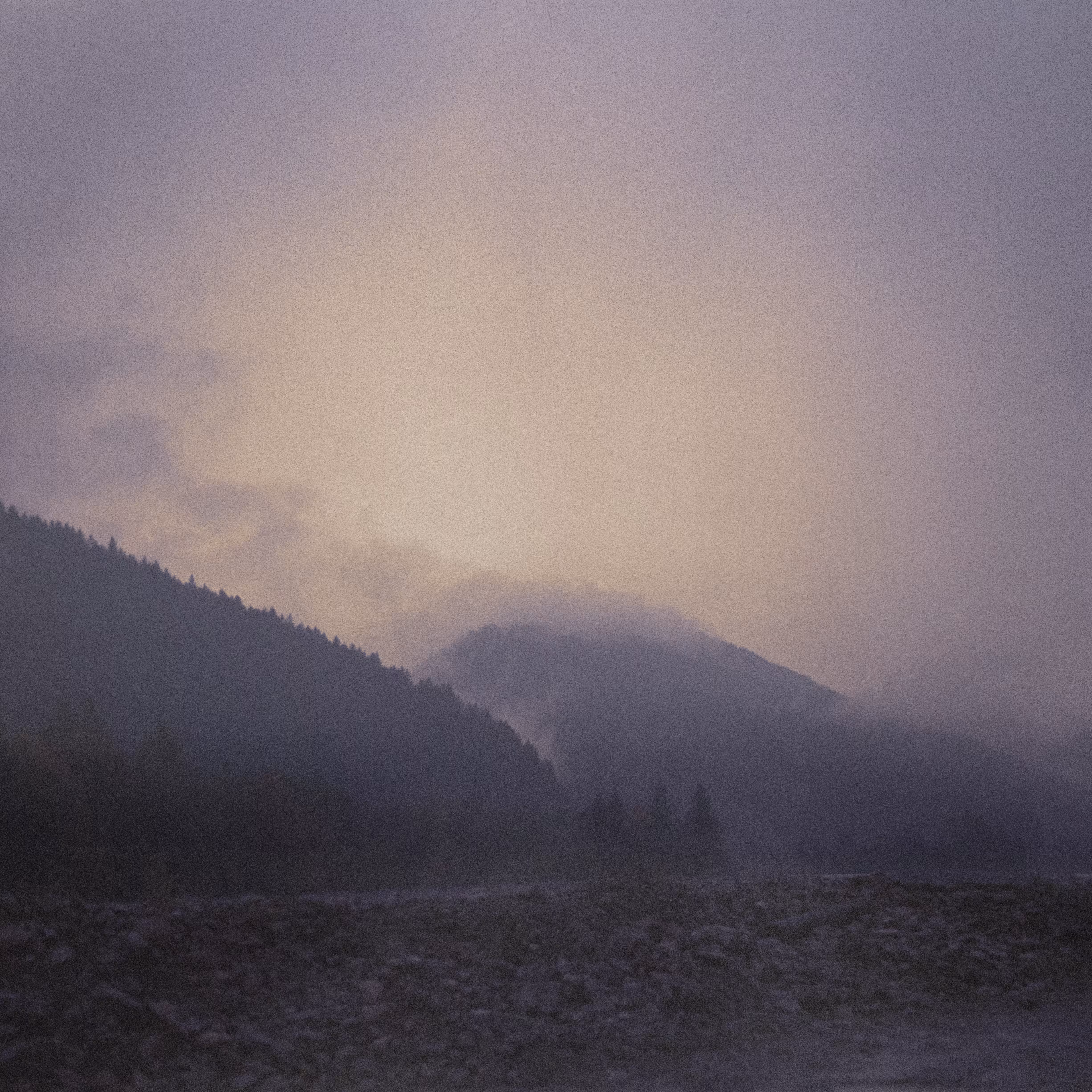 violet hill