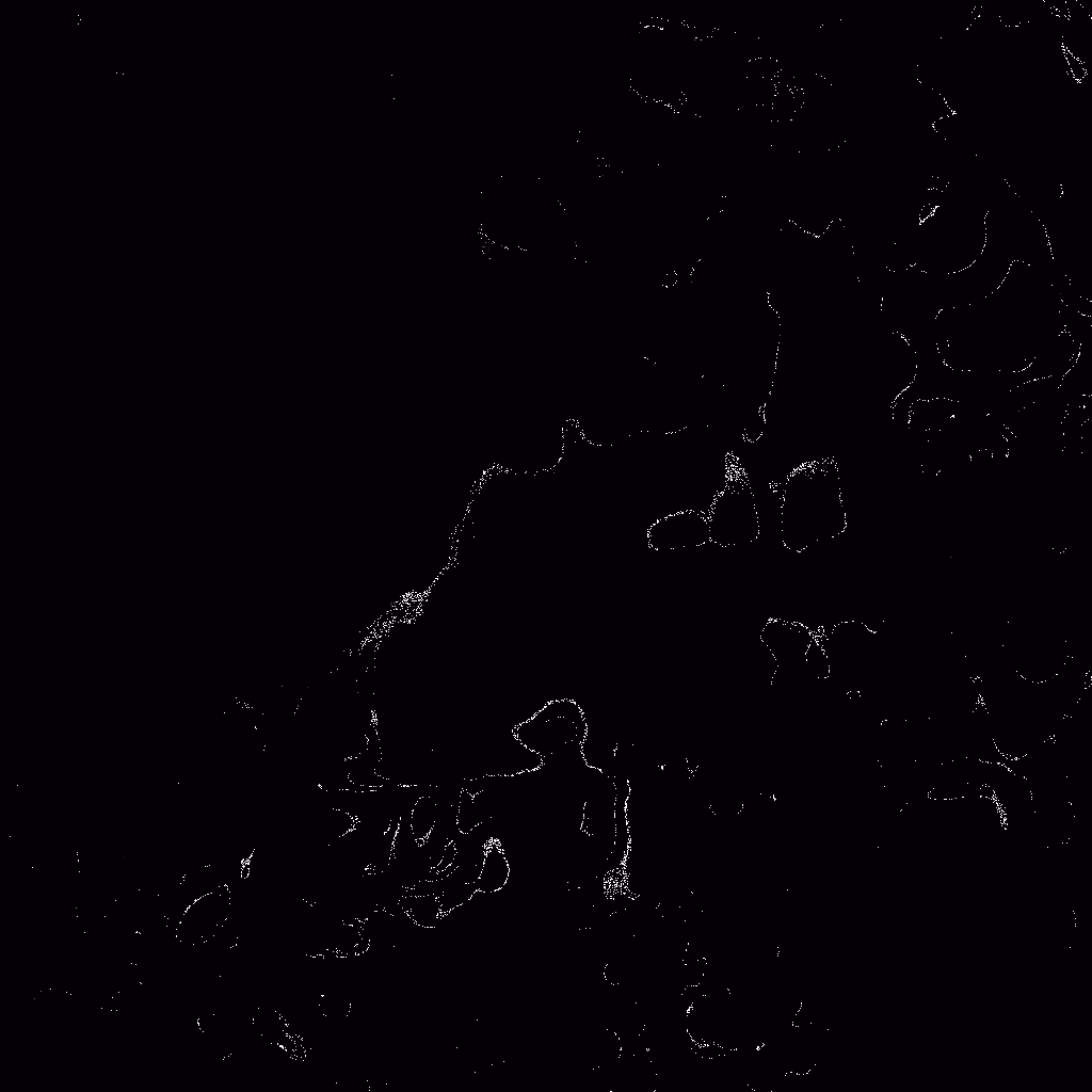 Noise #531 