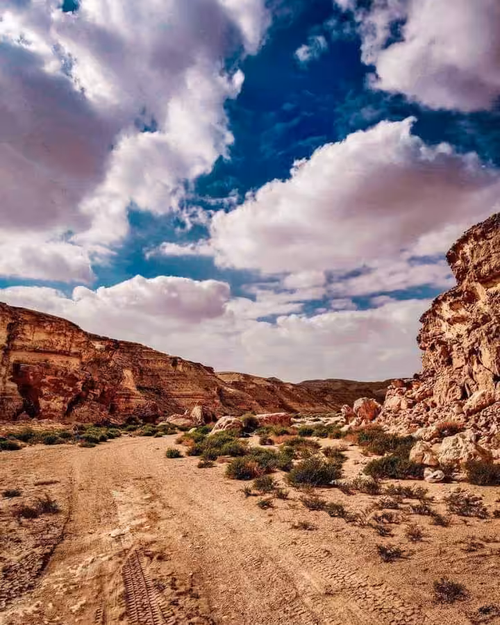Western desert 