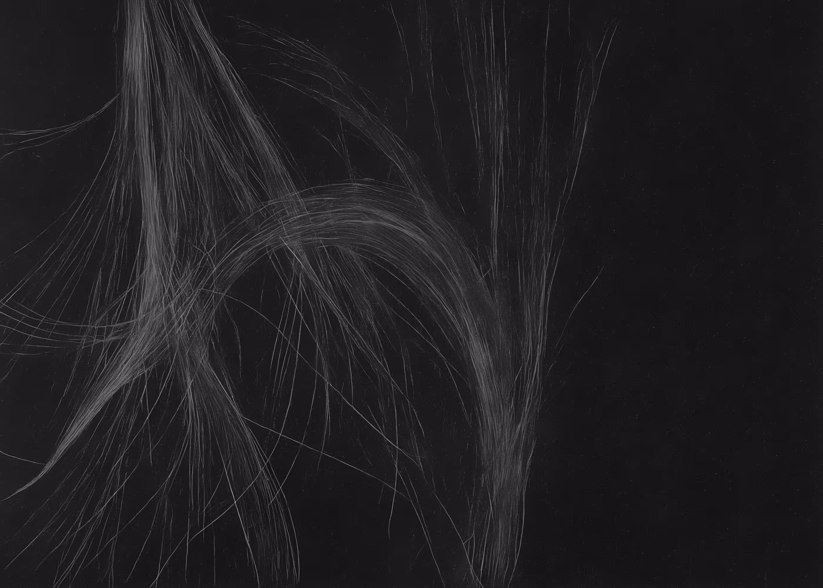 Lumens #342
