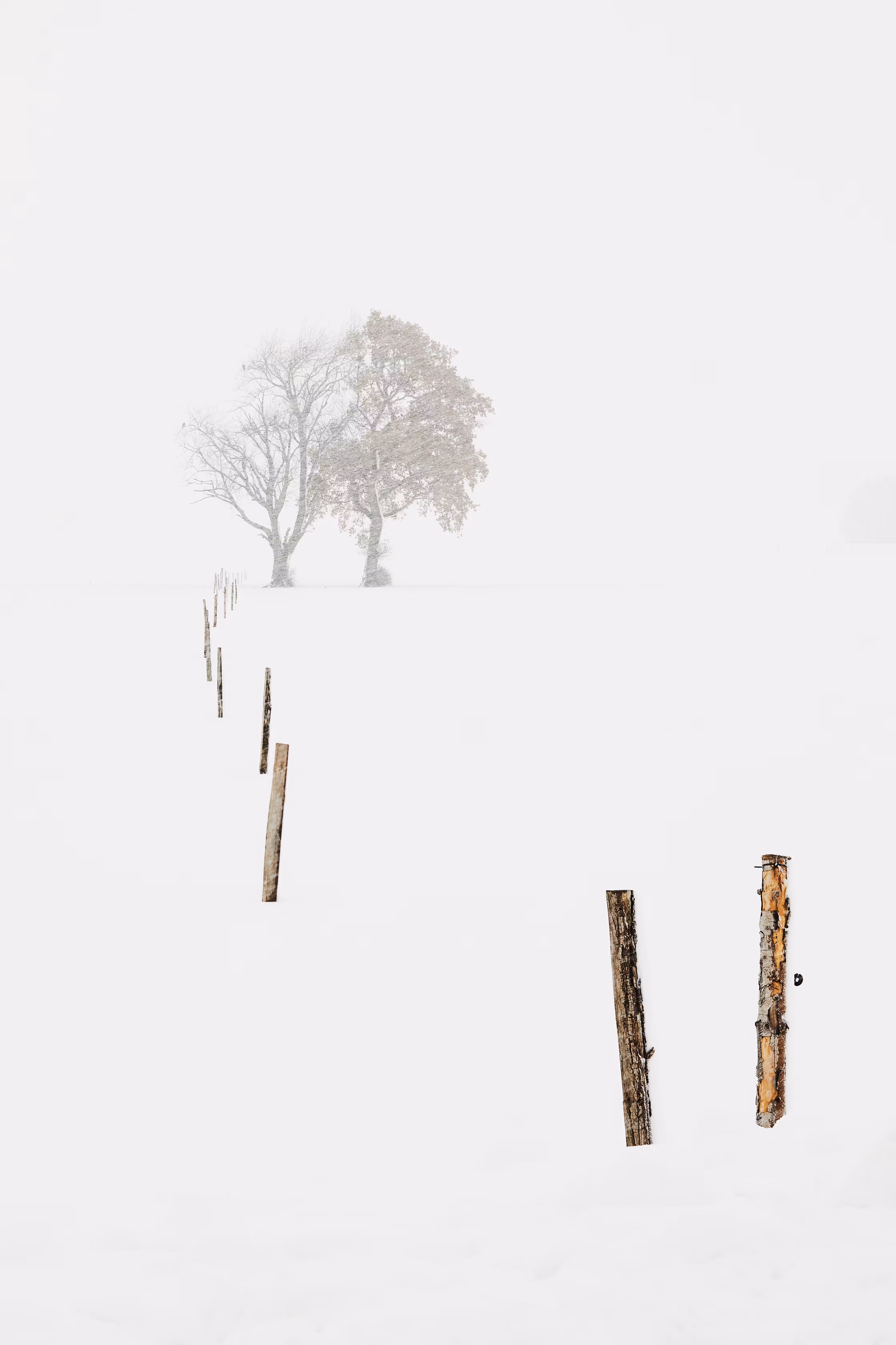 Heavy Snow