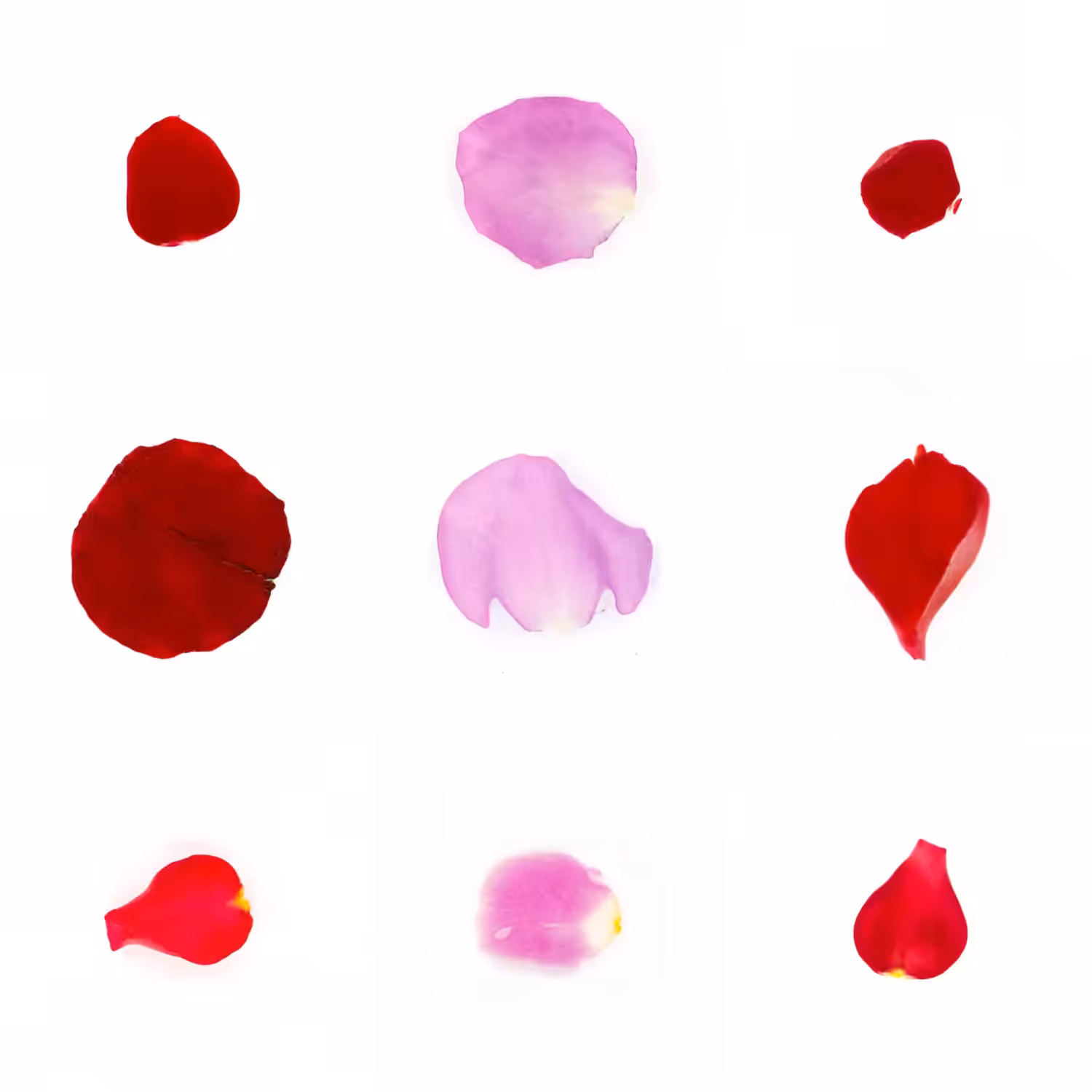 Infinite Petals 3x3#3398
