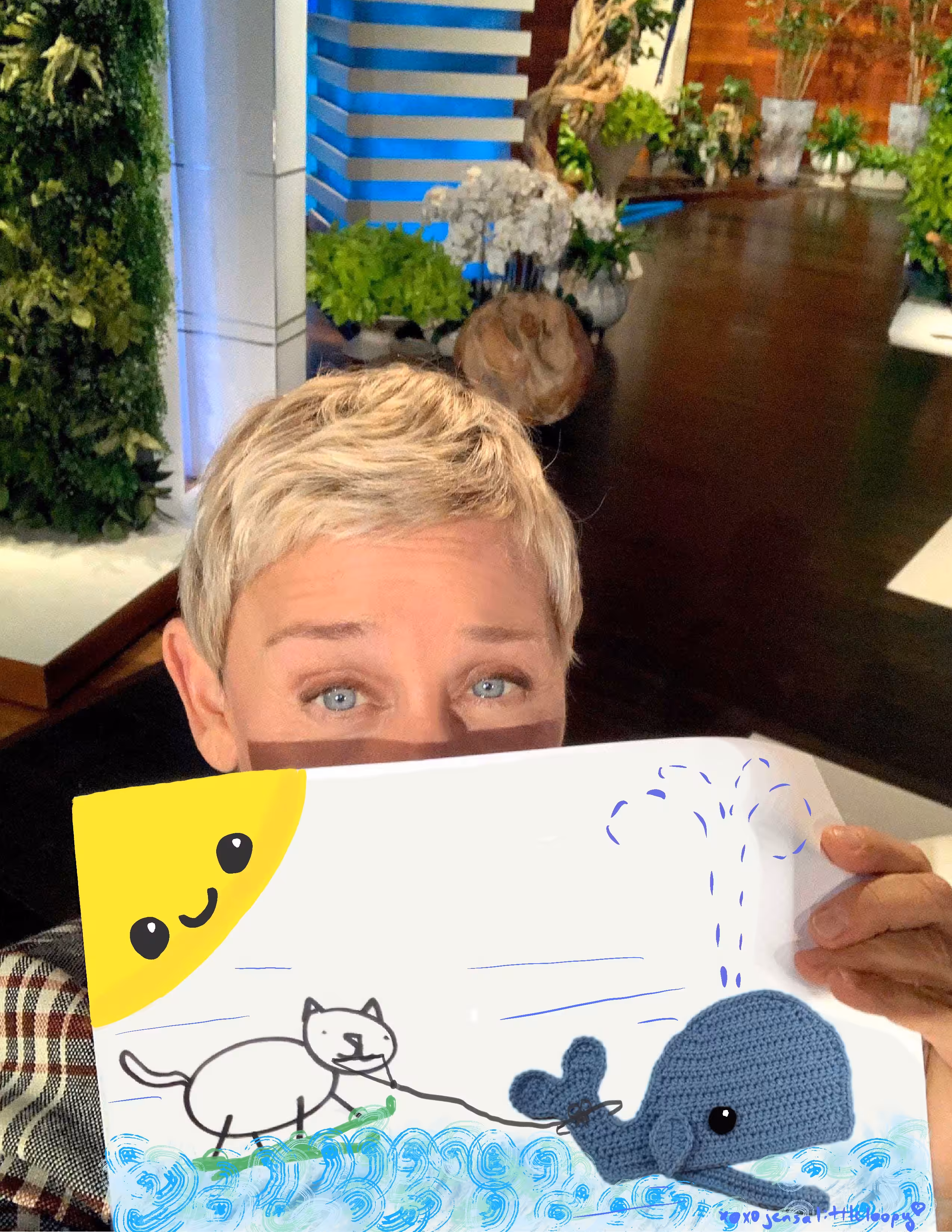 Ellen's cat goes for ride