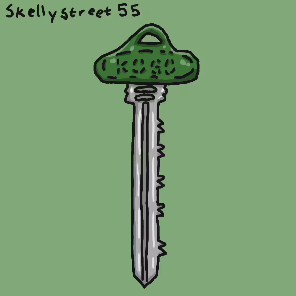 Skellystreet 55