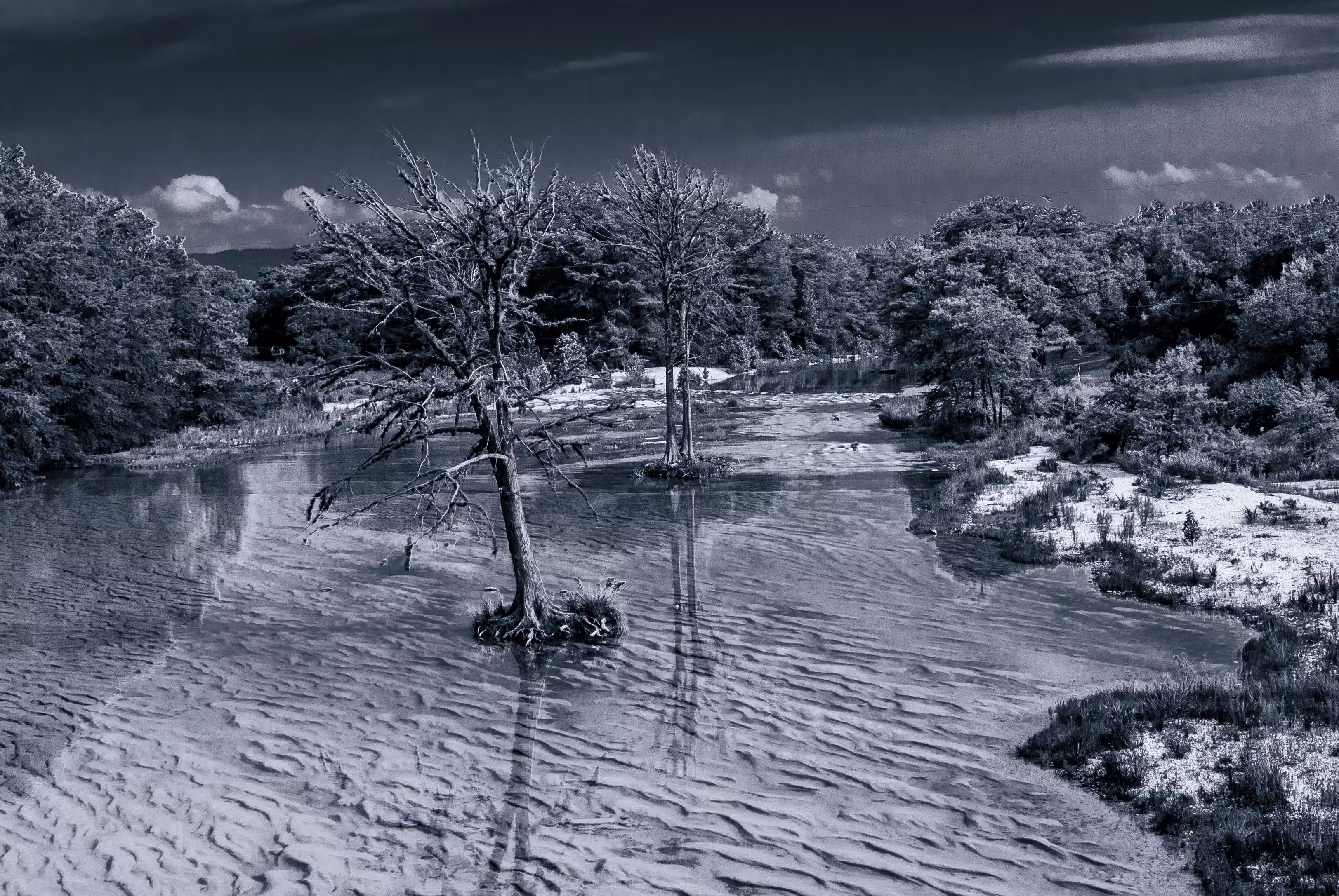 Tranquil Shoreline