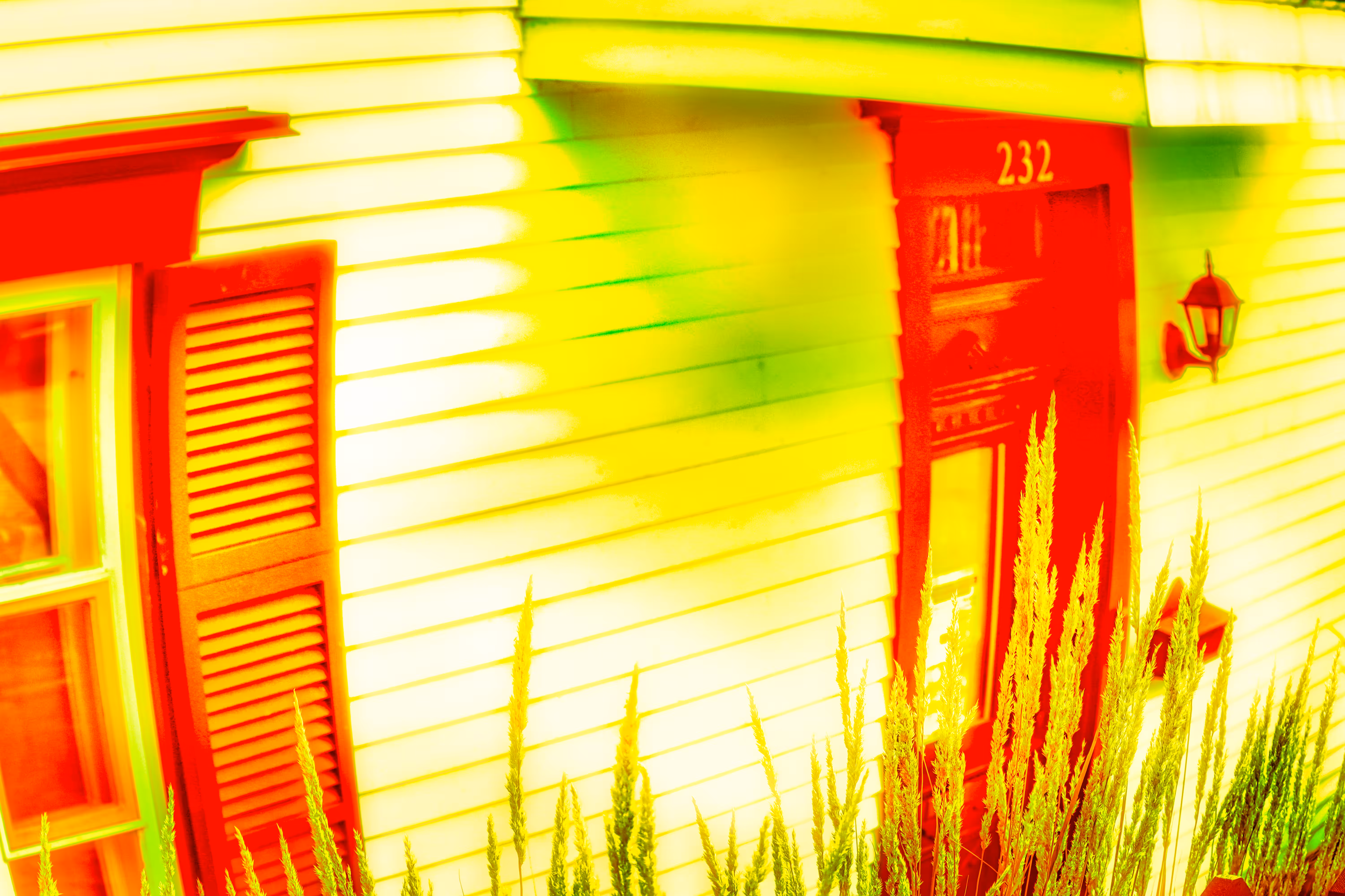 2022: SunnyHouse