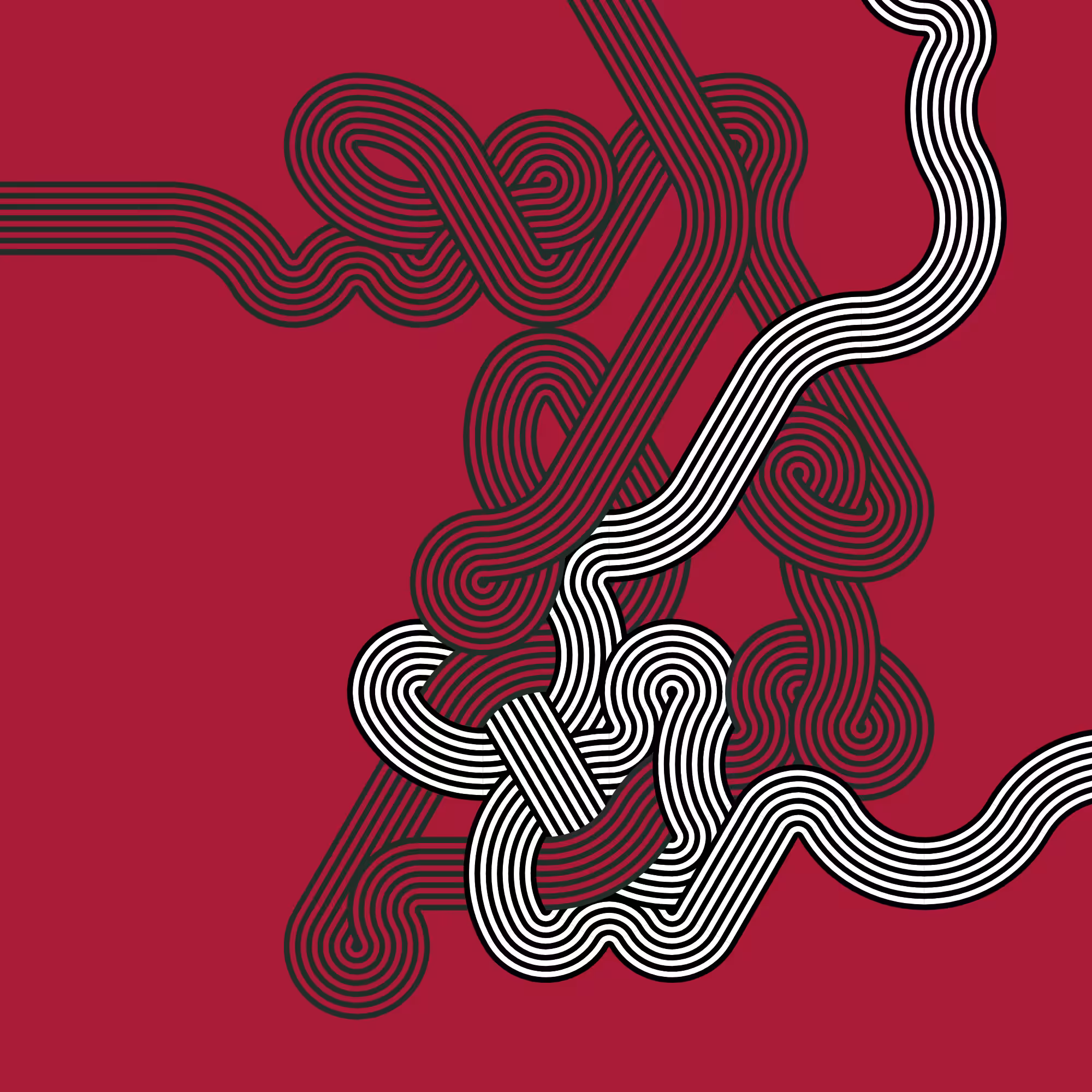 Wanderer #152