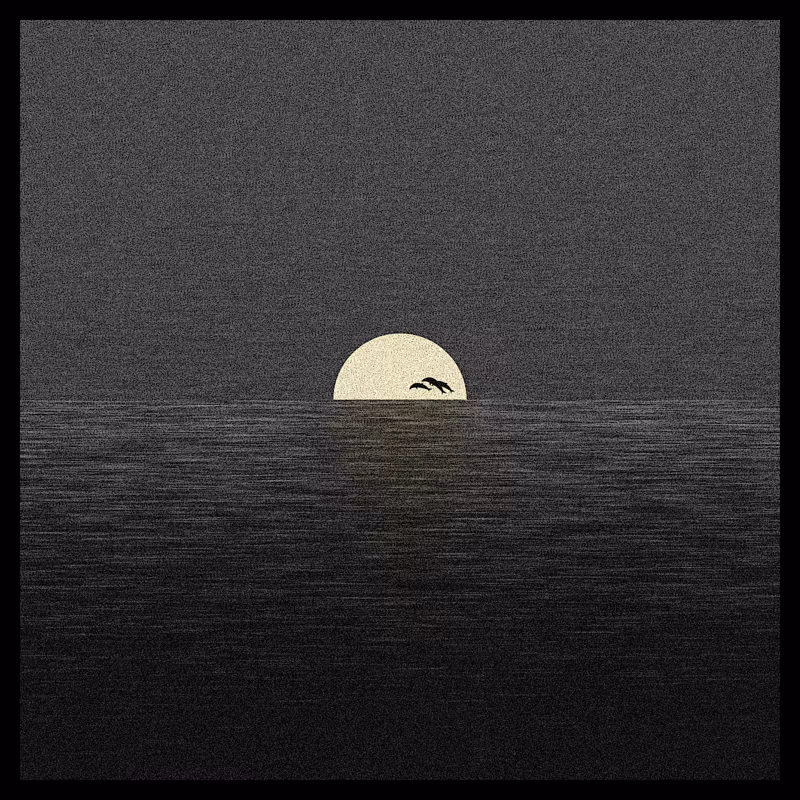 sunrise sunset #16