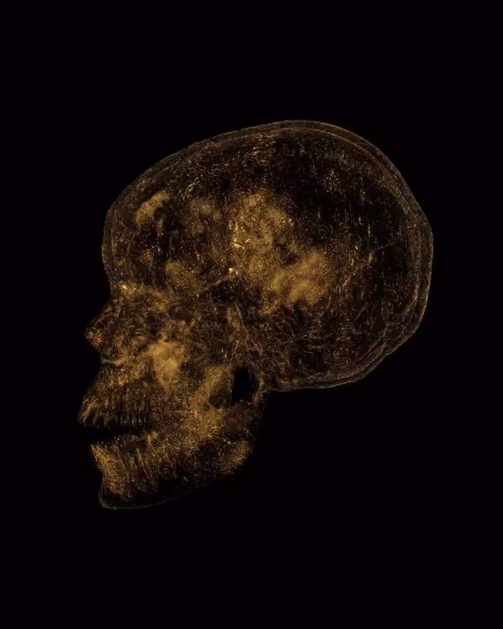 Cryptoskull