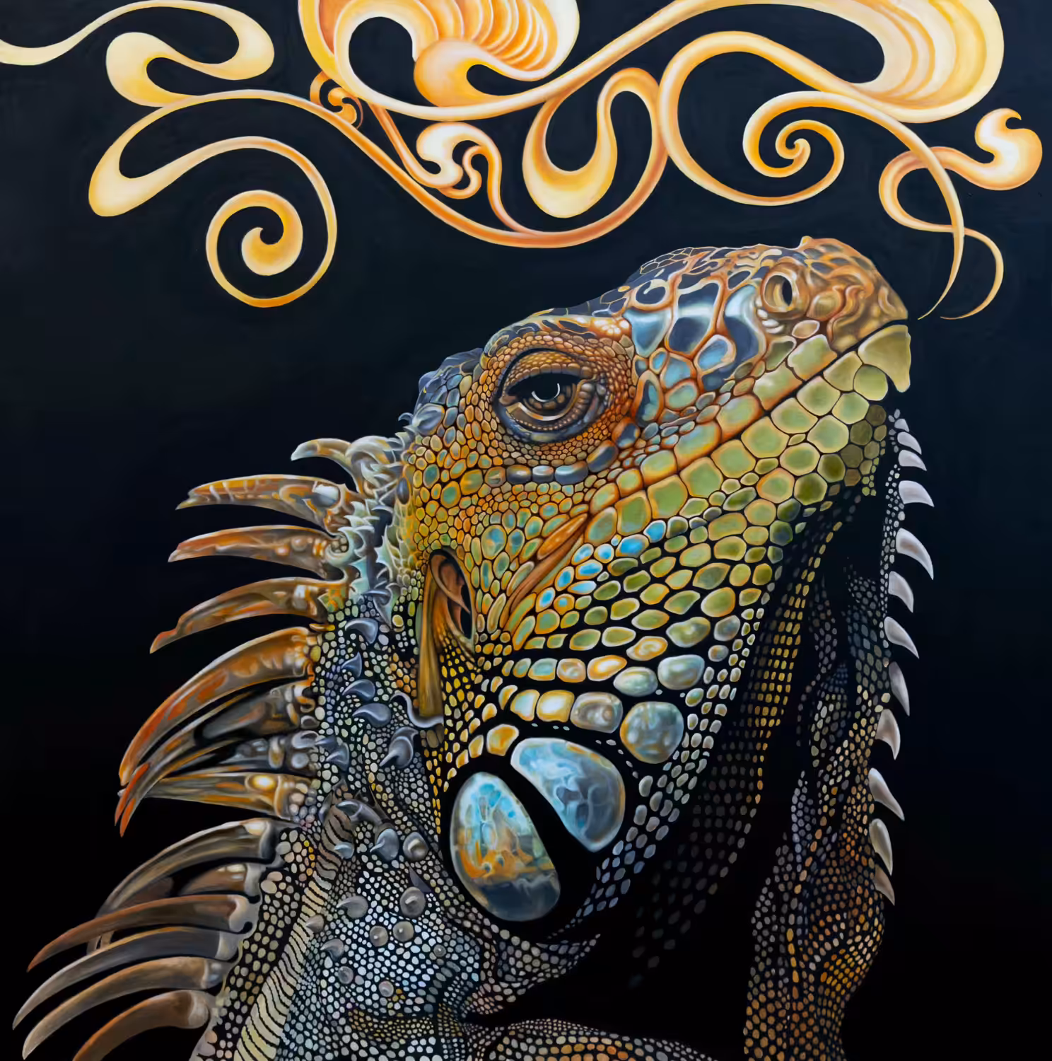 Iguana Guide
