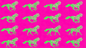Year of the Fire Horse: ƈɦʀօռօ-քɨӼɛʟ ⌖ š†α†ïς ßurš†