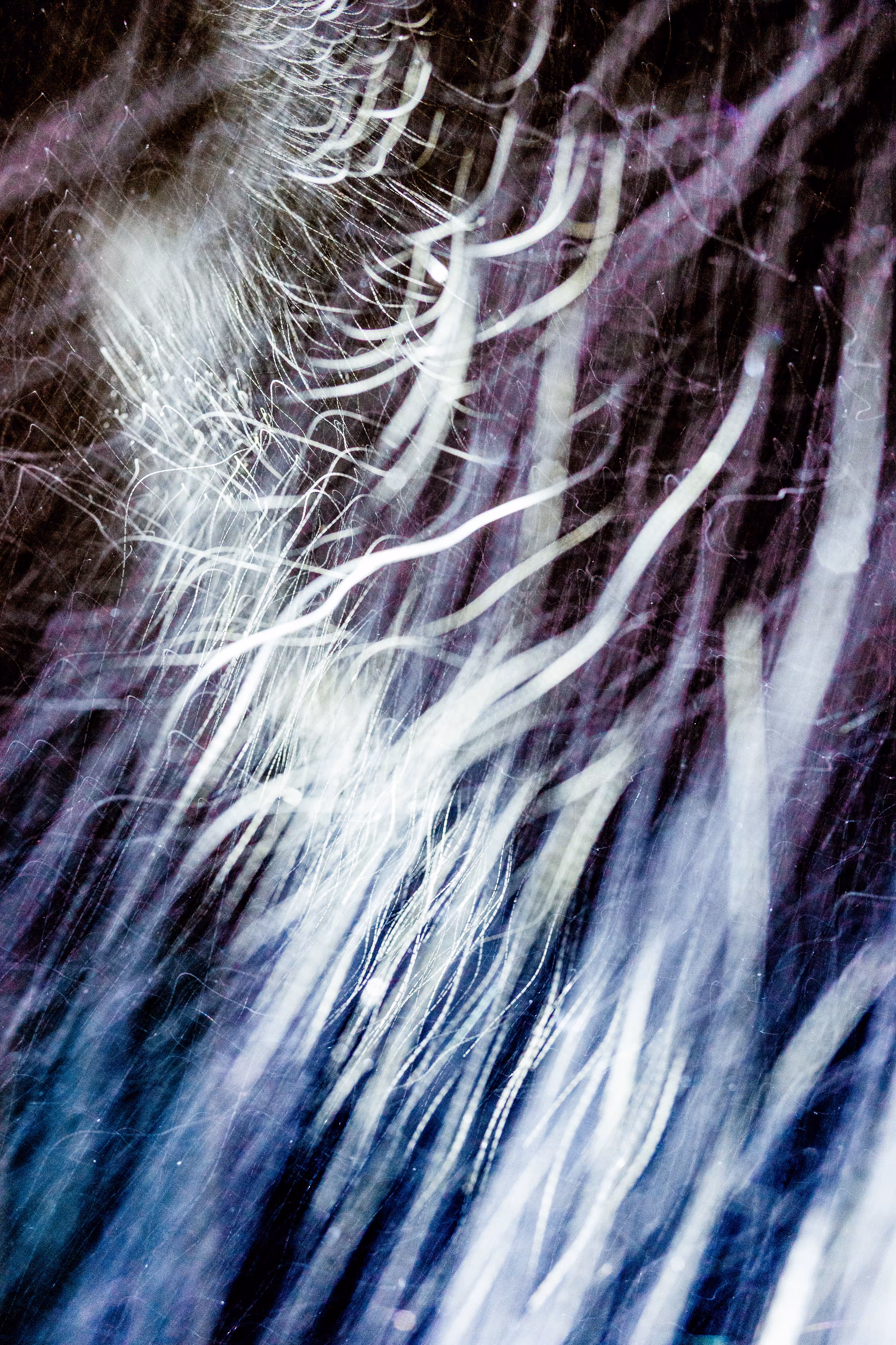 GISELXLIGHTSLURRY: L1210386 : An omen of the skies