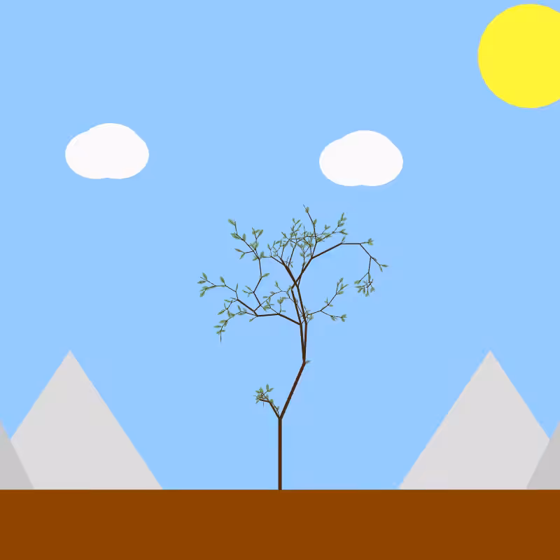 From seedling to tree #12