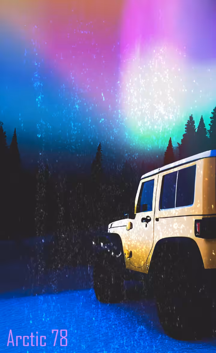 Arctic 78