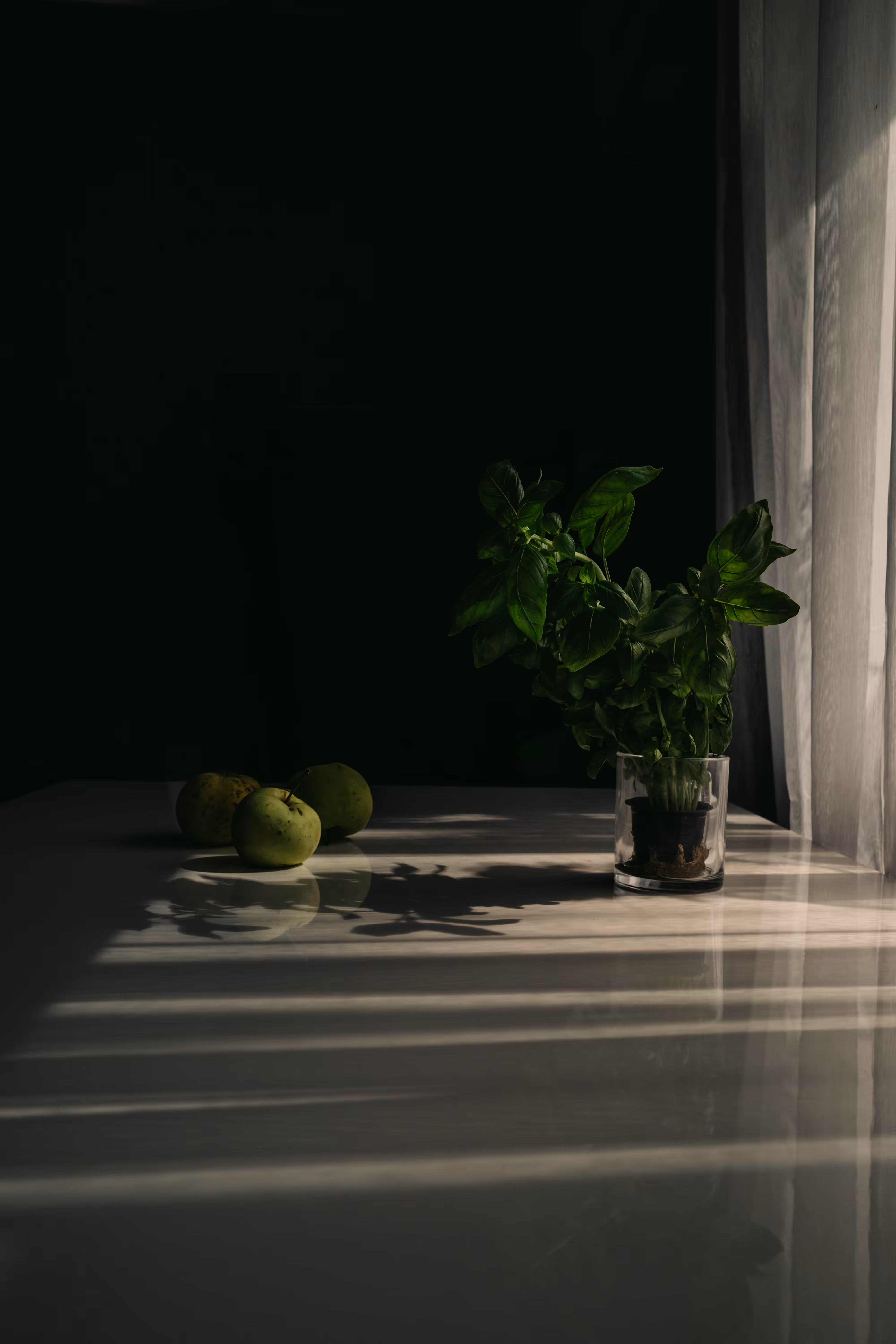 Evening sunshine
