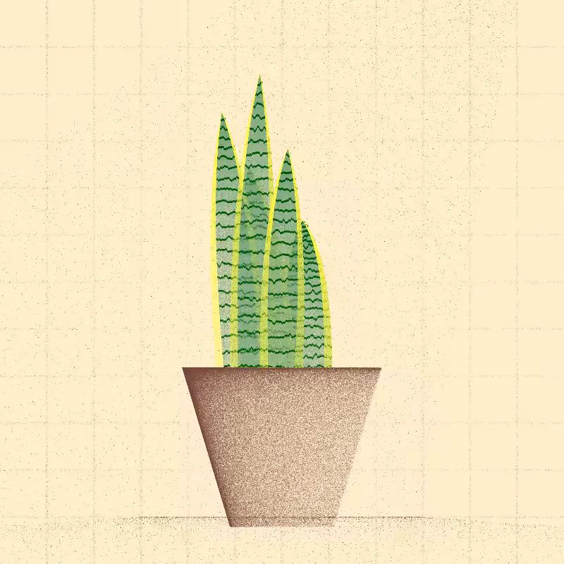 🌱 Potted & Printed #36