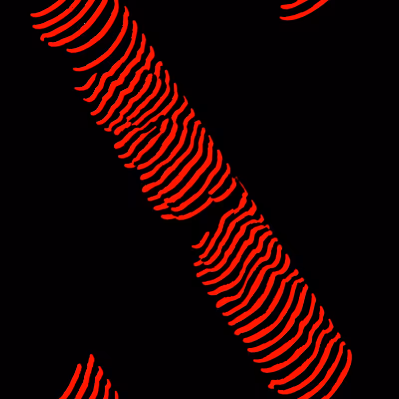 Cellular Automata #14